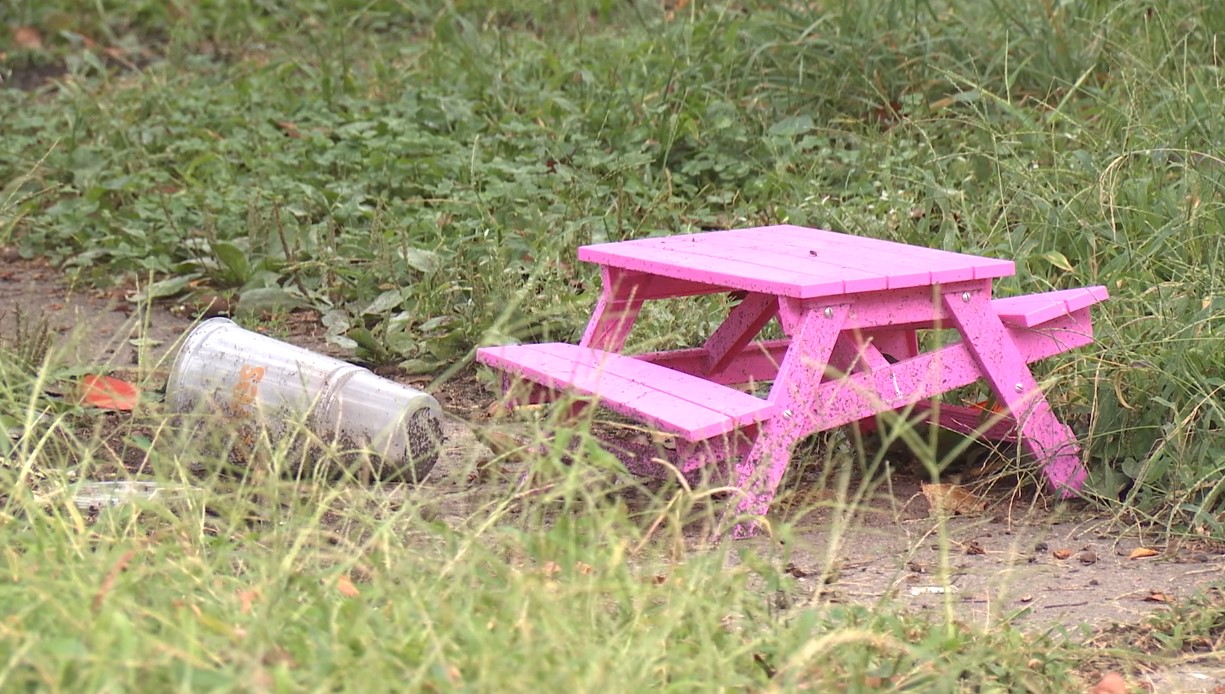 rat house3.jpg