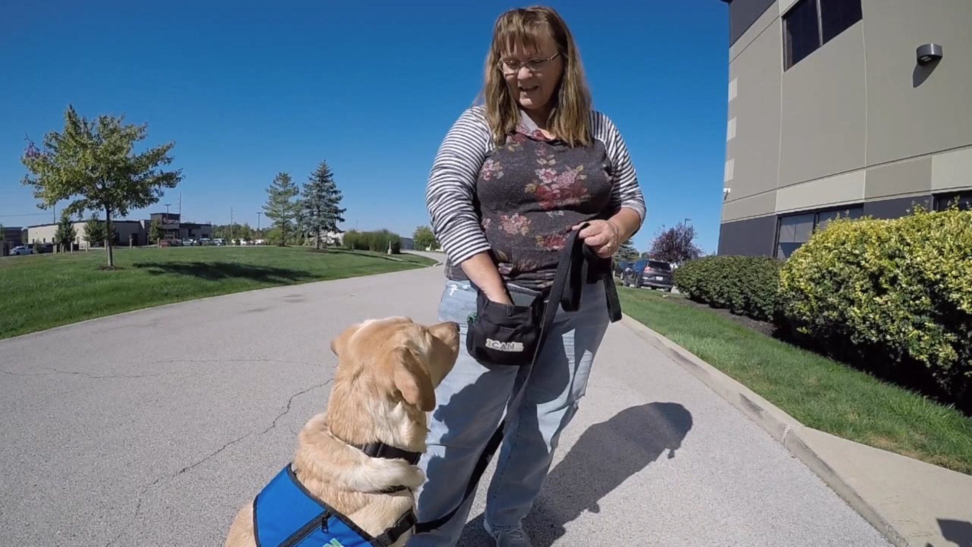 Dog outside ICAN