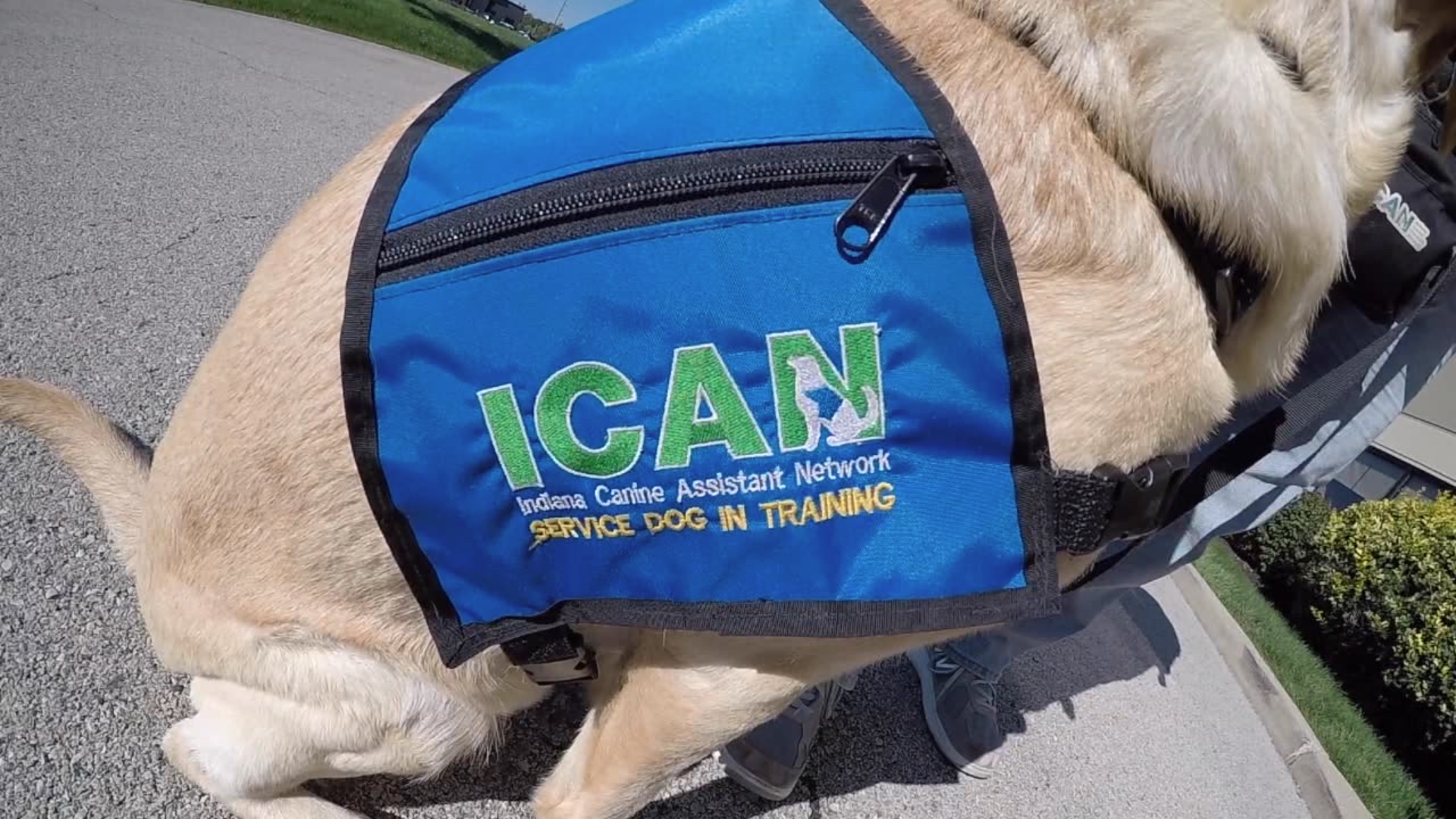 ICAN vest