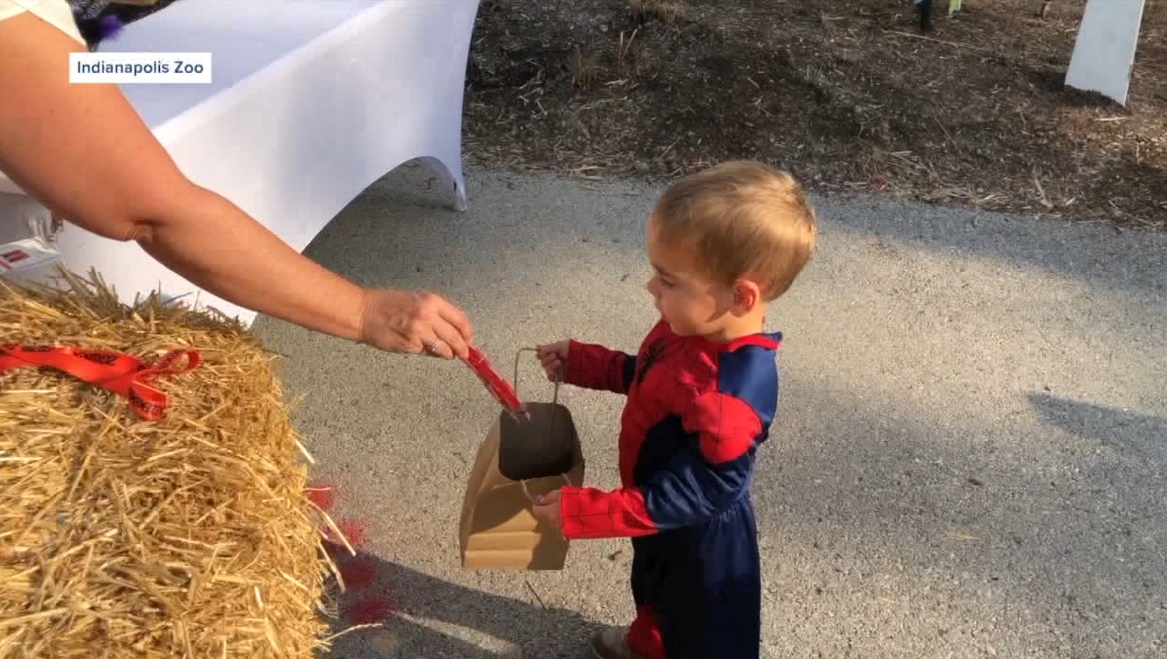 zooboo3.jpg