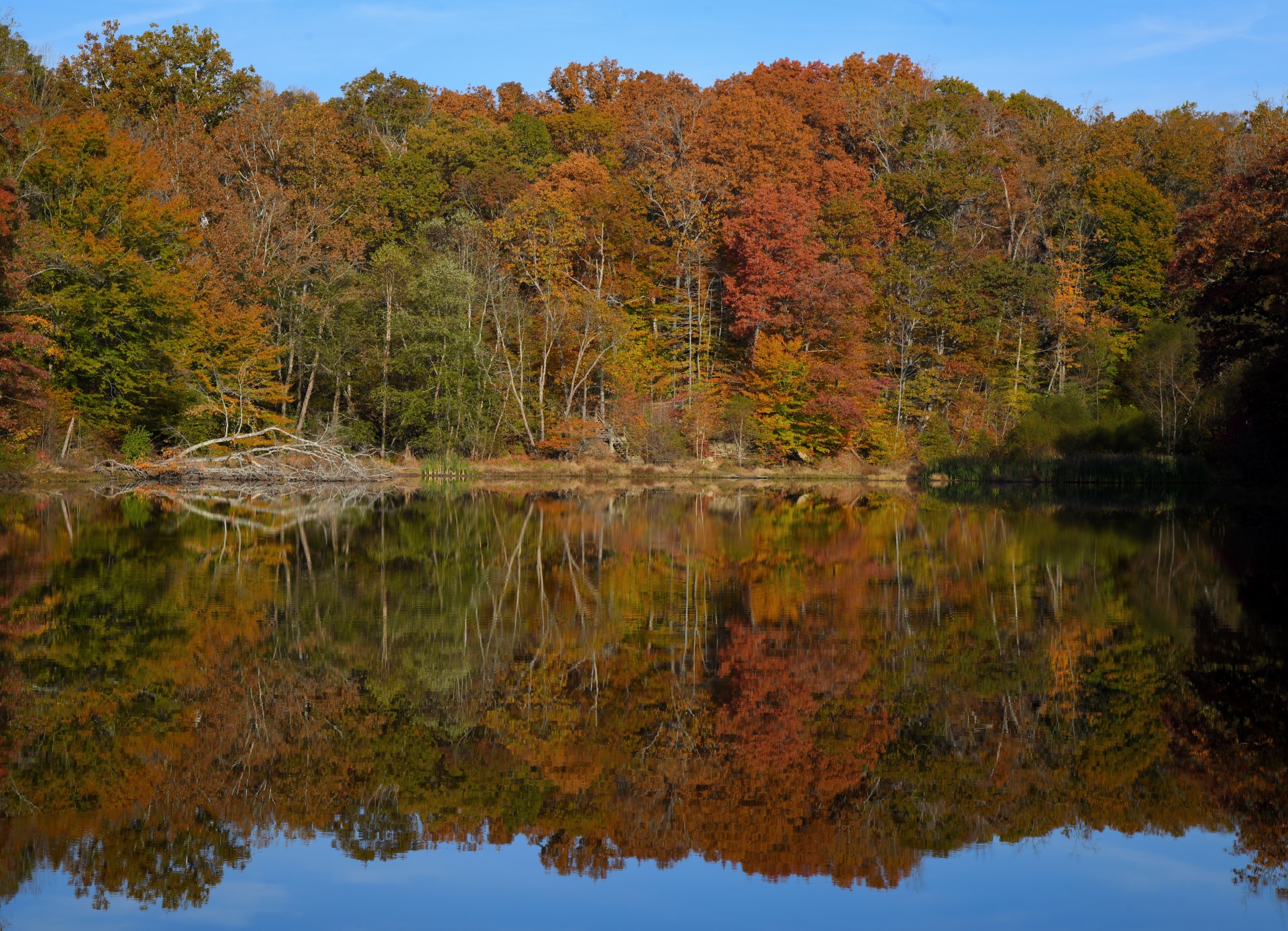 Brown County State Park.jpg