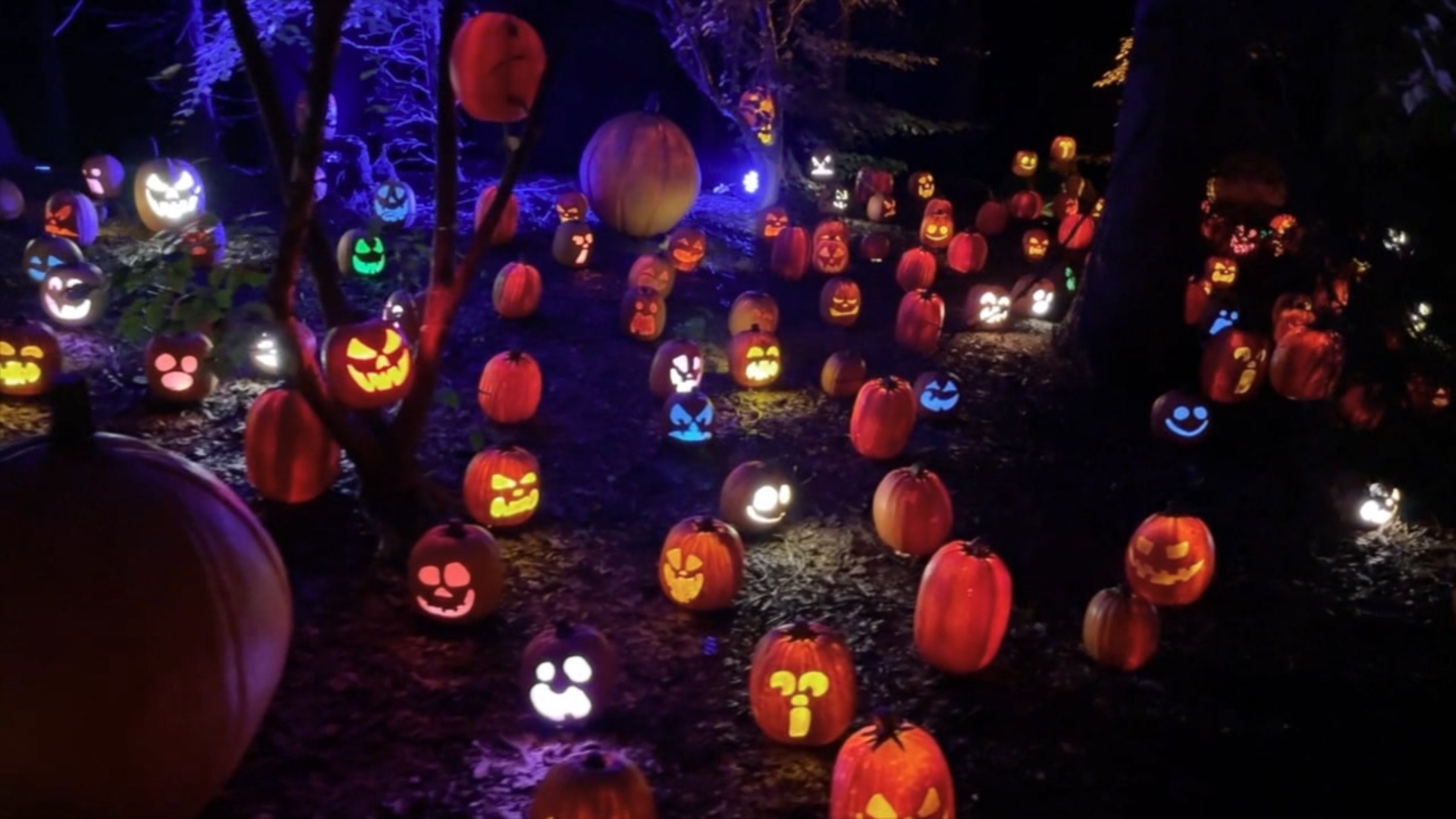 Pumpkin Path of Peril
