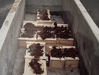 Grave1.jpg