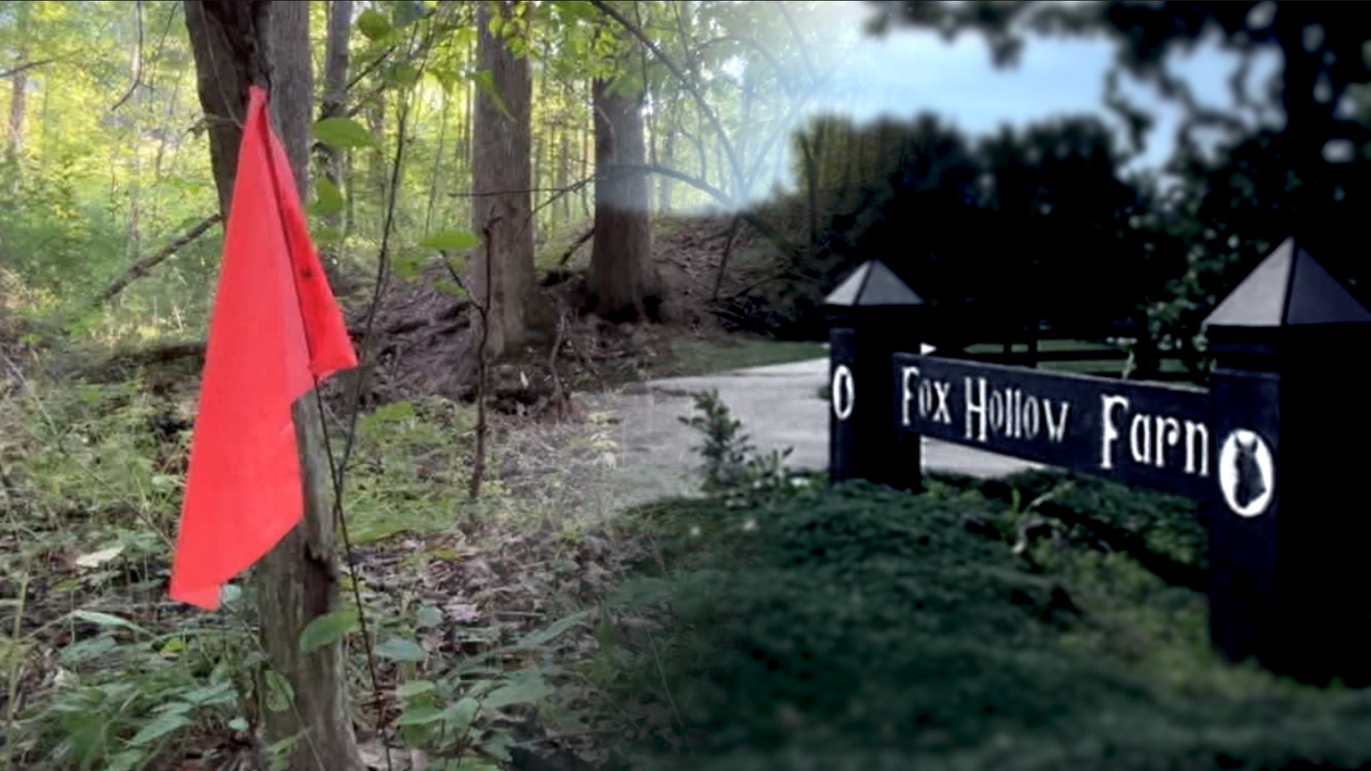 Forgotten at Fox Hollow Farm flag