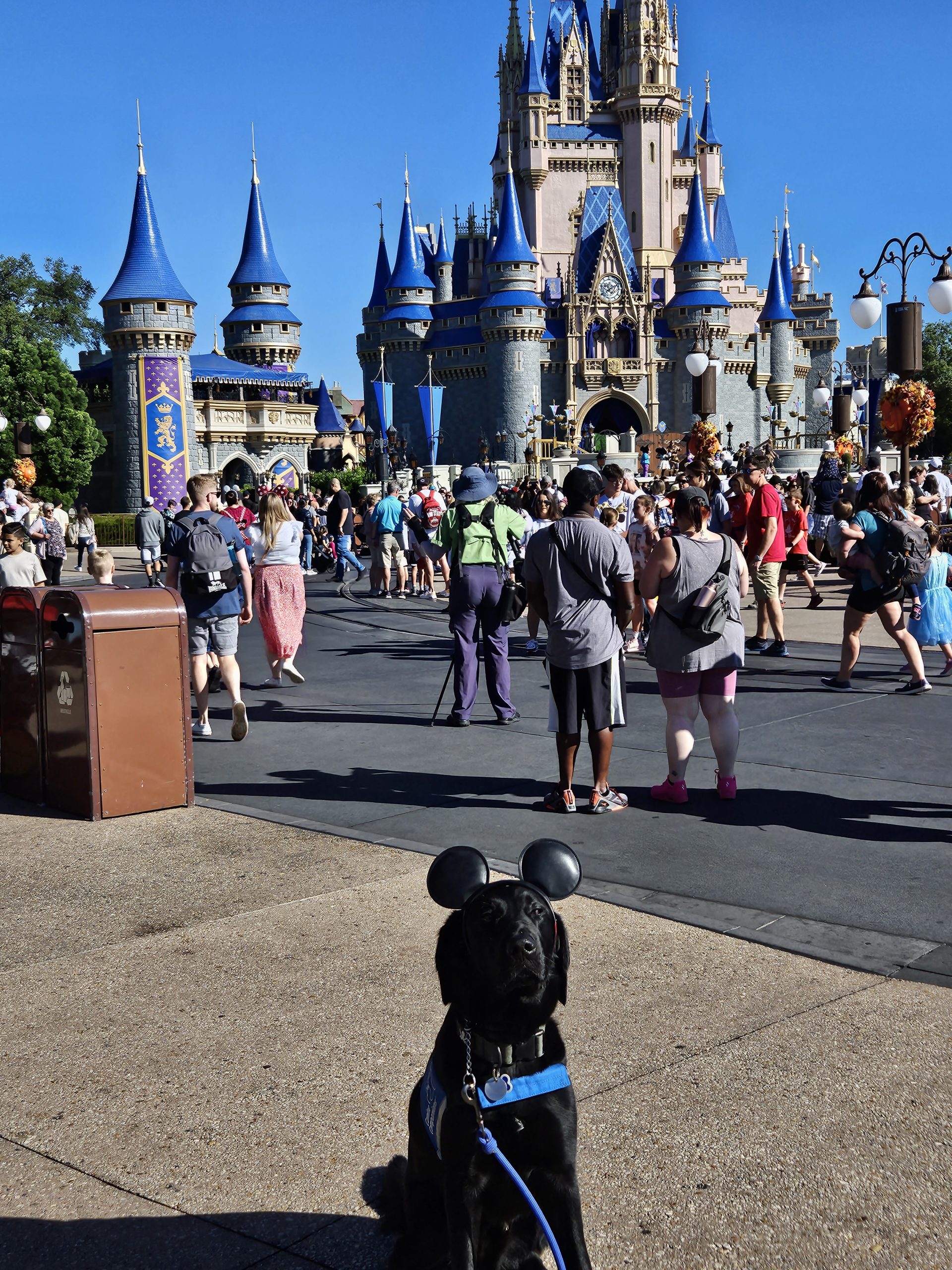 anchor at disney.jpg