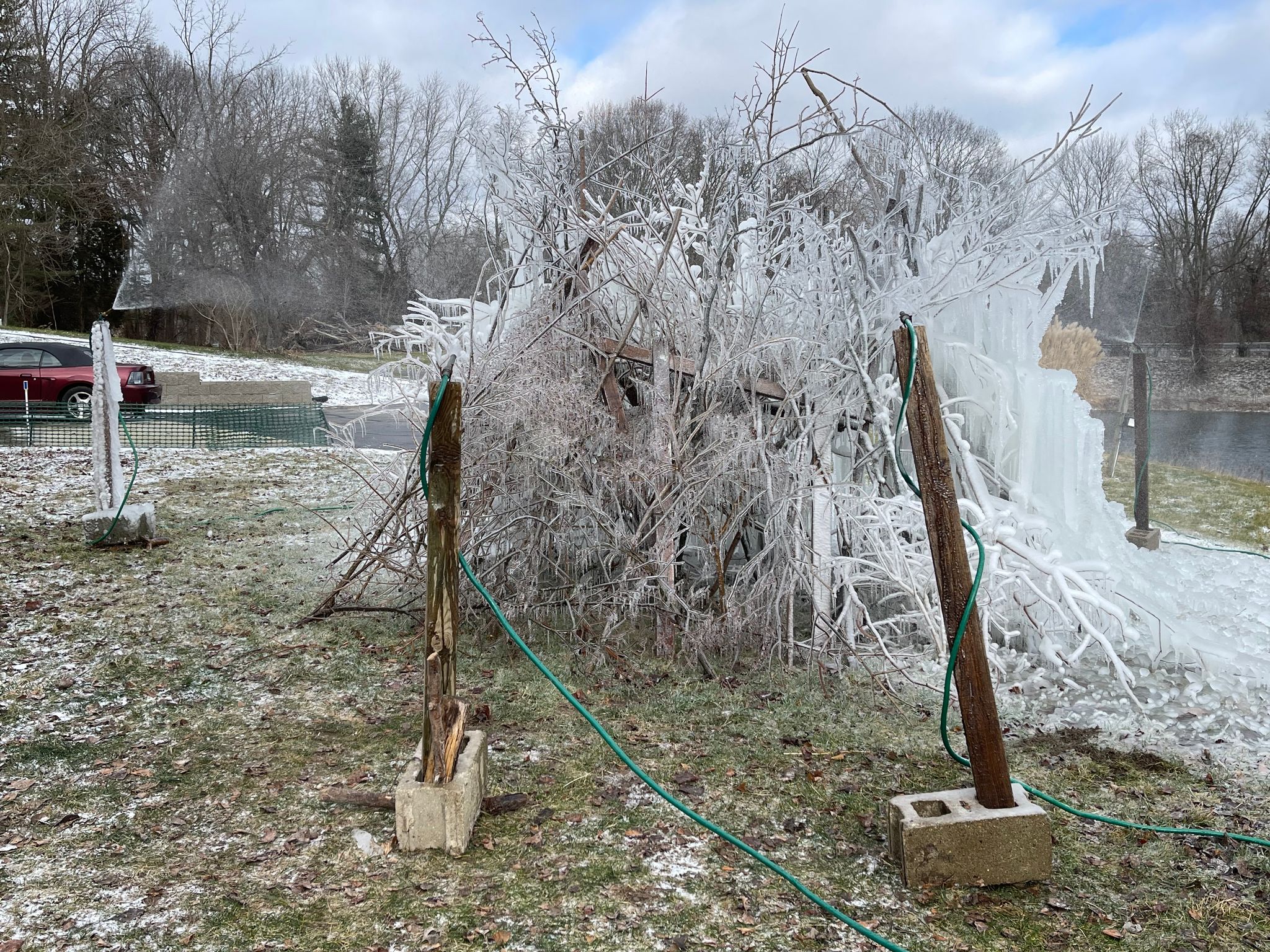 Ice Tree 