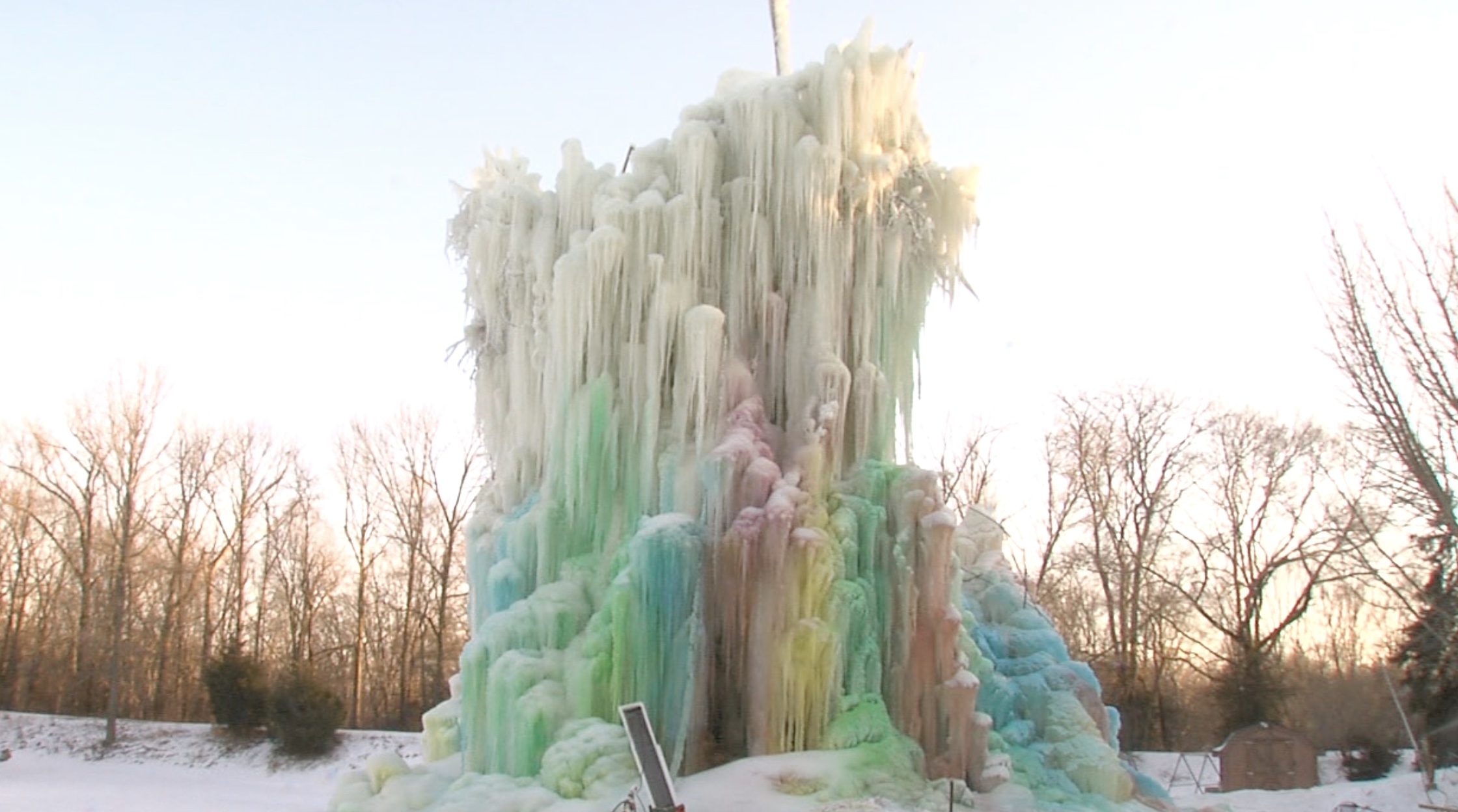 Veal's Ice Tree in 2014