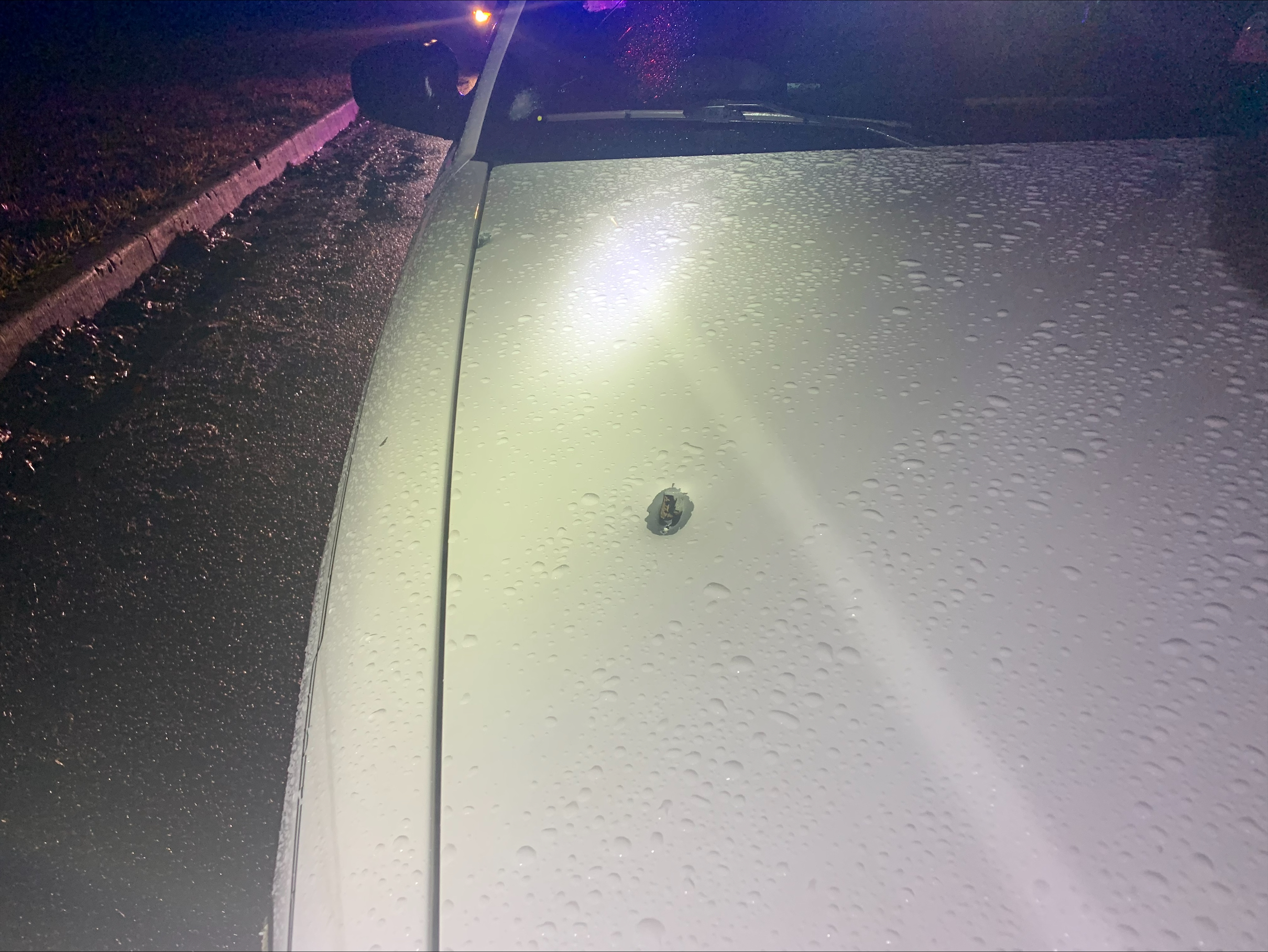 bullets in car.jpeg