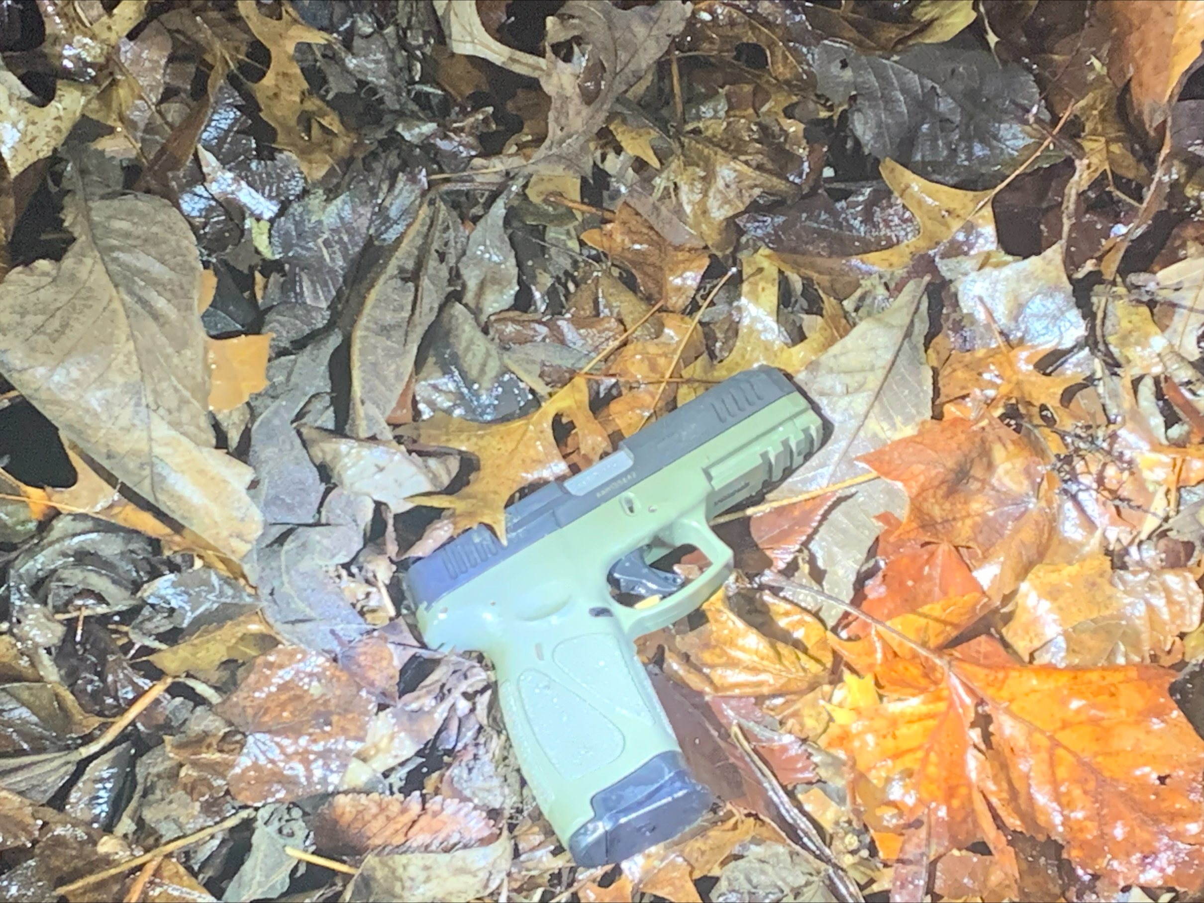 suspect gun.jpeg