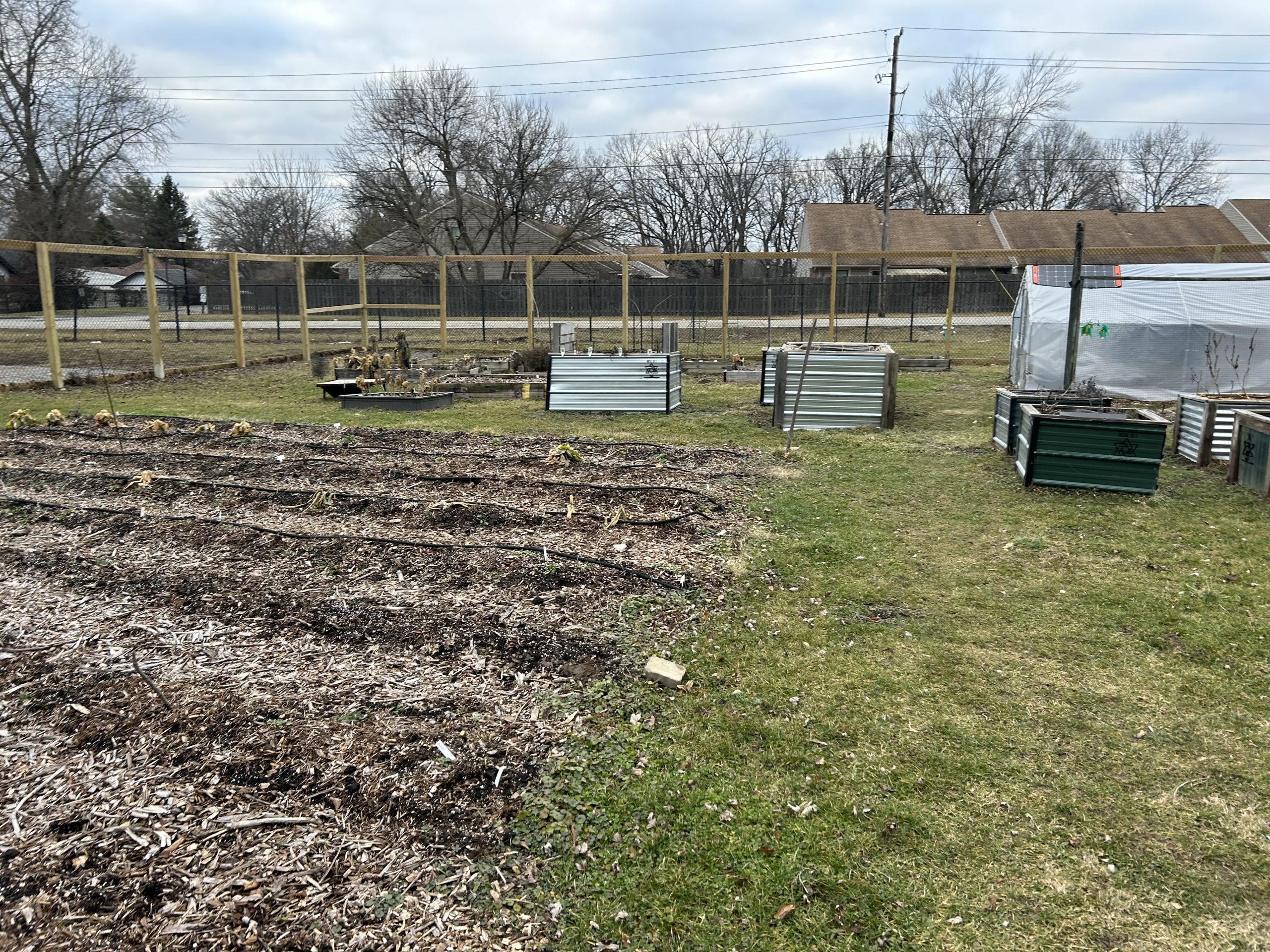 Plant to plate Urban Farm