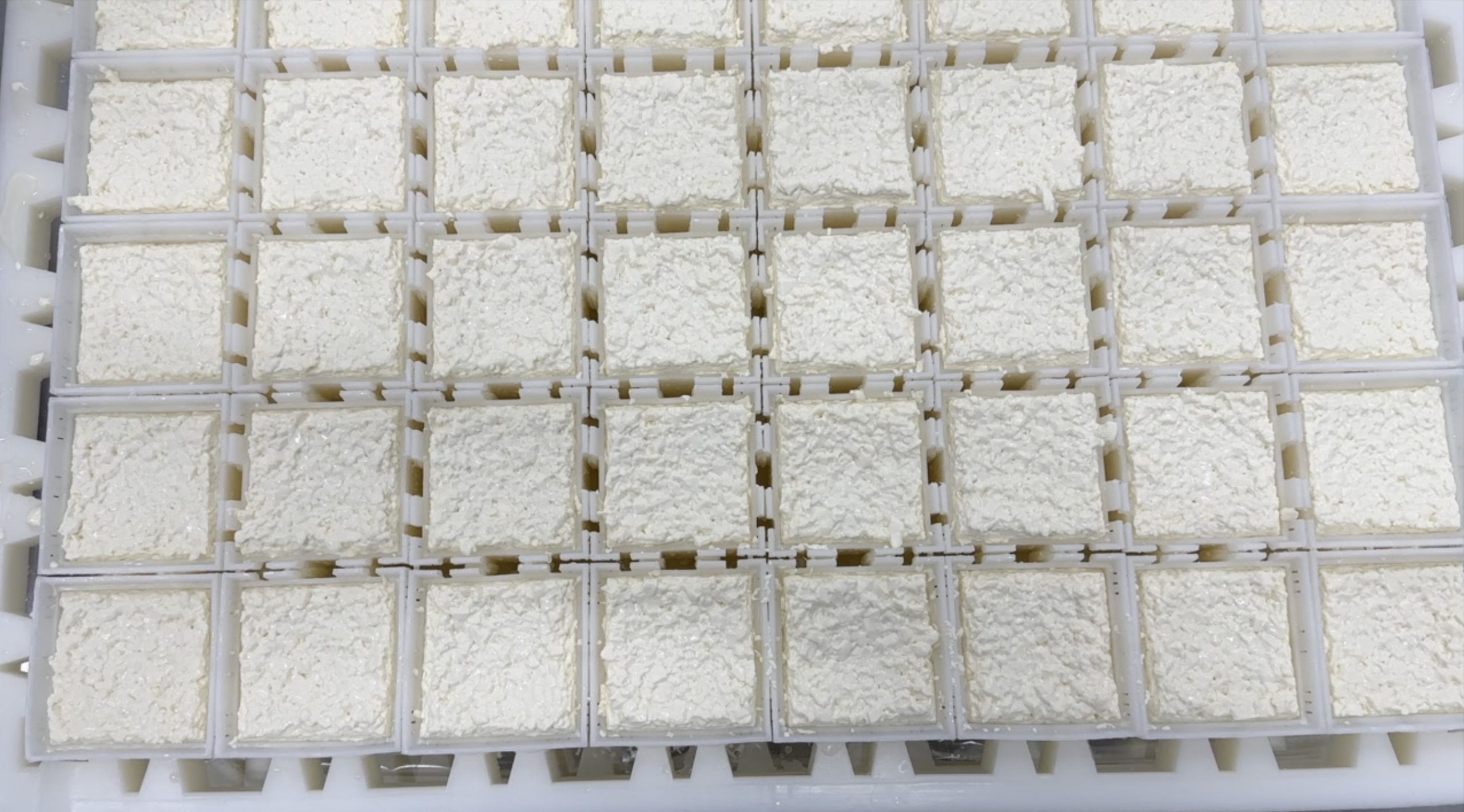 Cheese in a grid at Tulip Tree