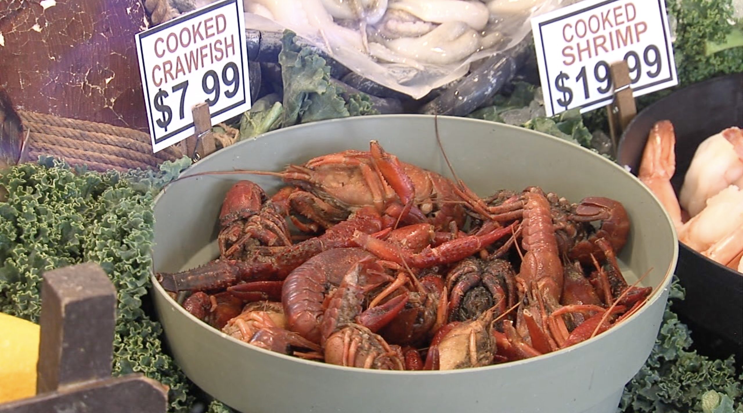 CaplingerCrawfish