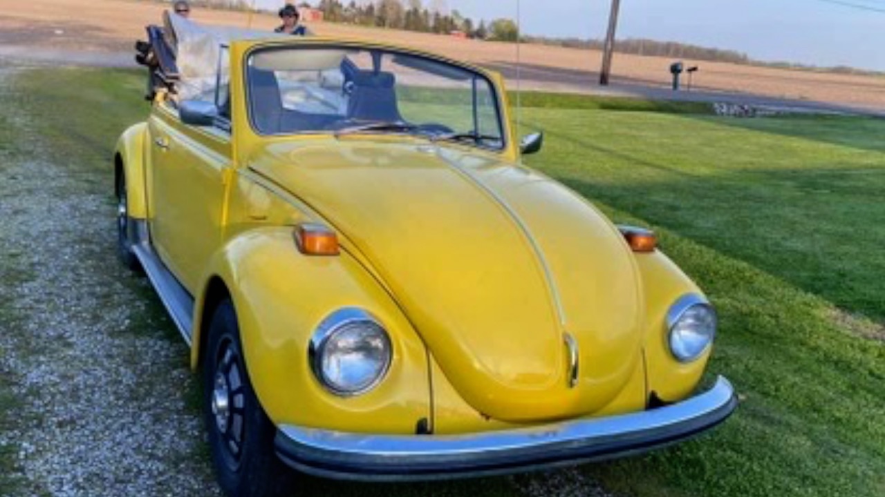 DianeKuhnsYellowBUG.jpg