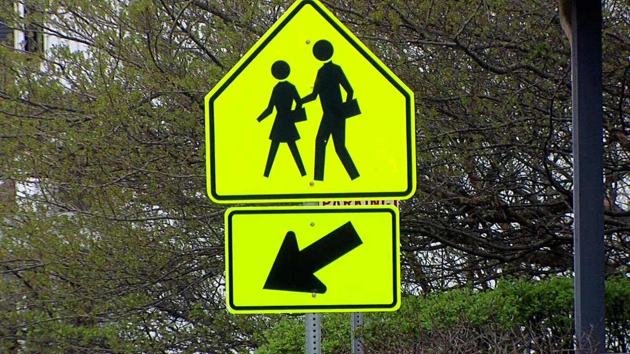 pedestrian safety2.jpg