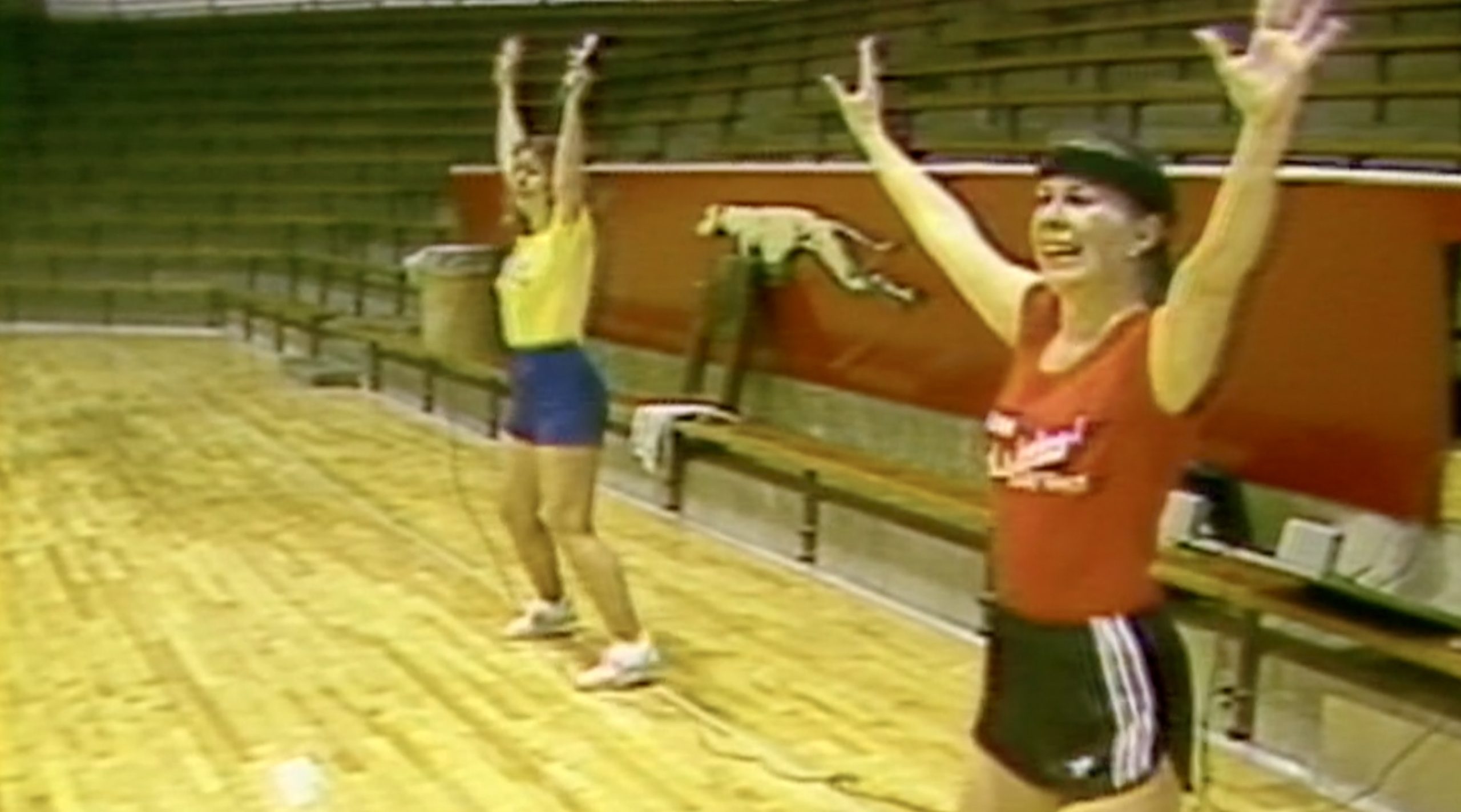Aerobicsclass1984