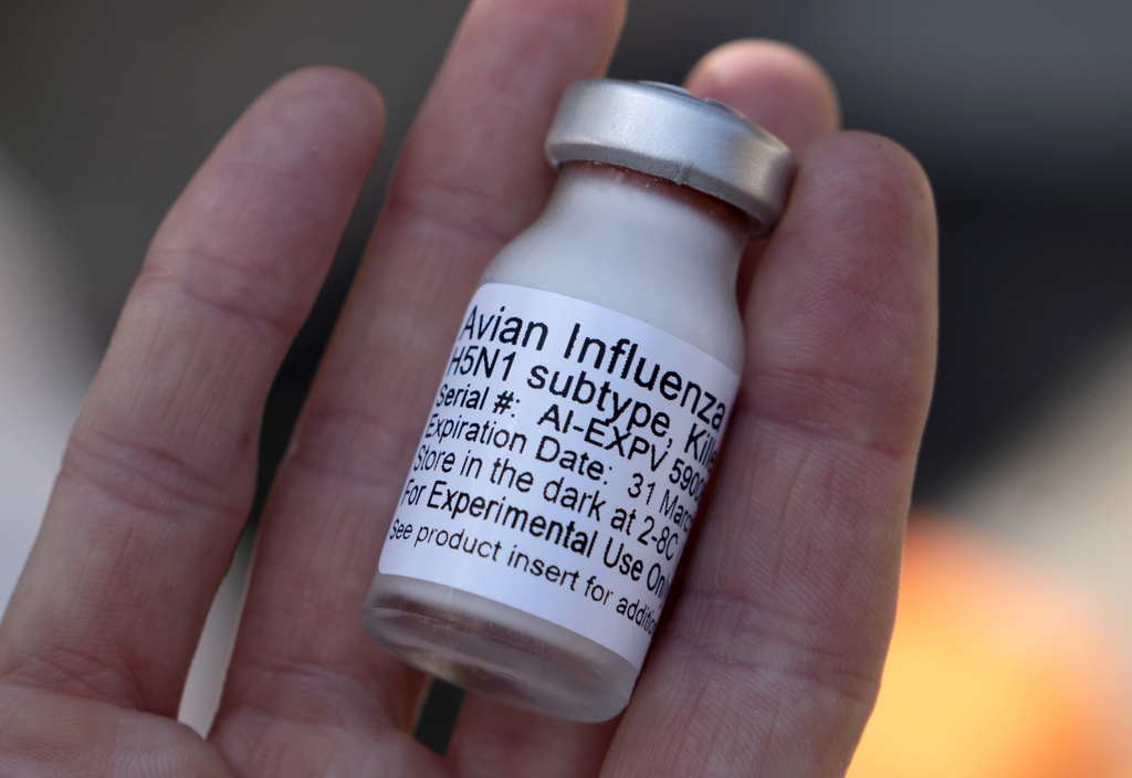 H5N1 experimental influenza vaccine. 