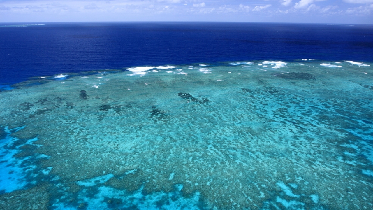Warmer sea temperatures leads to the bleaching of coral reefs, seen here in the Great Barrier Reef.