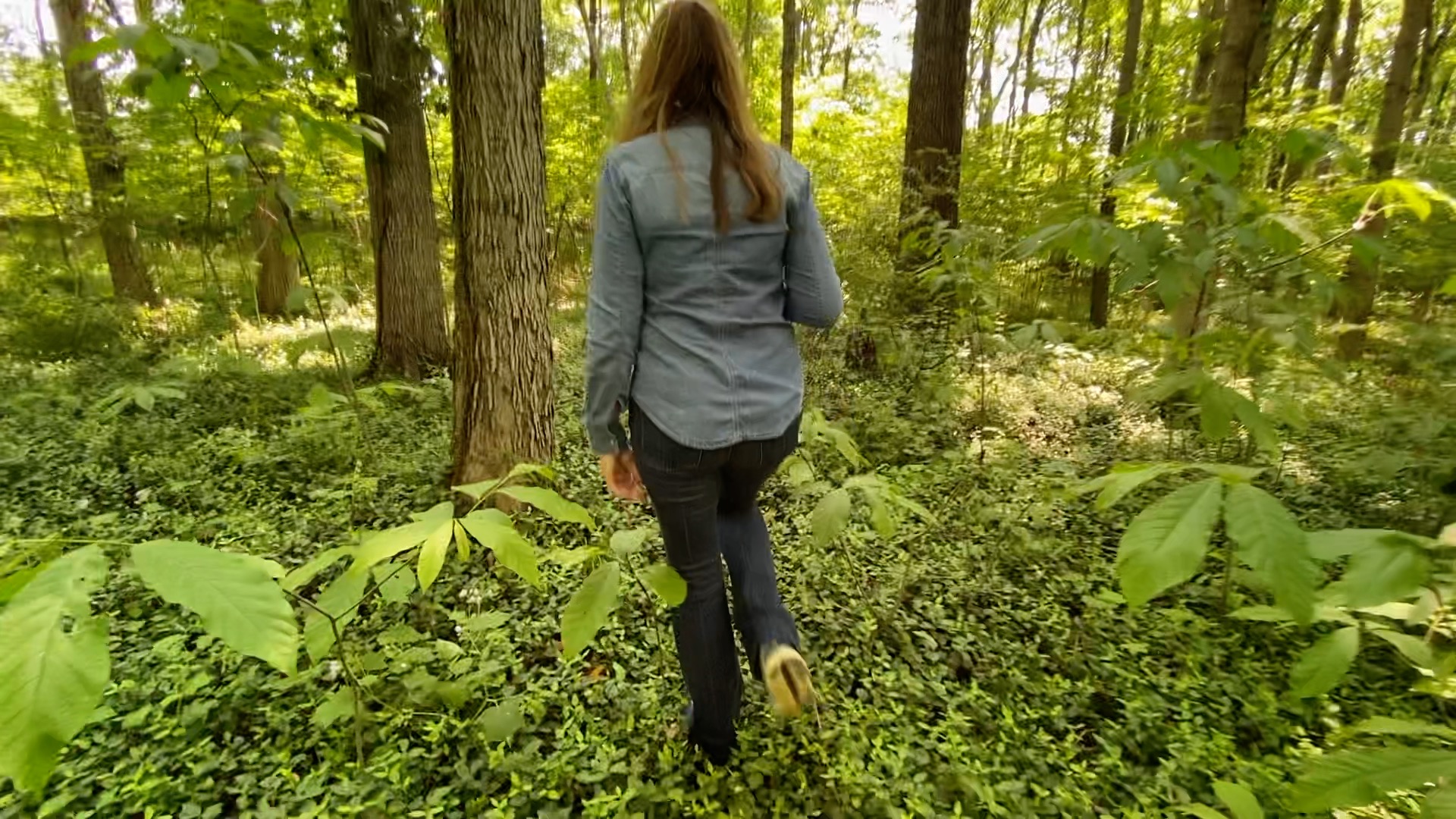 Urban Forest 2.jpg