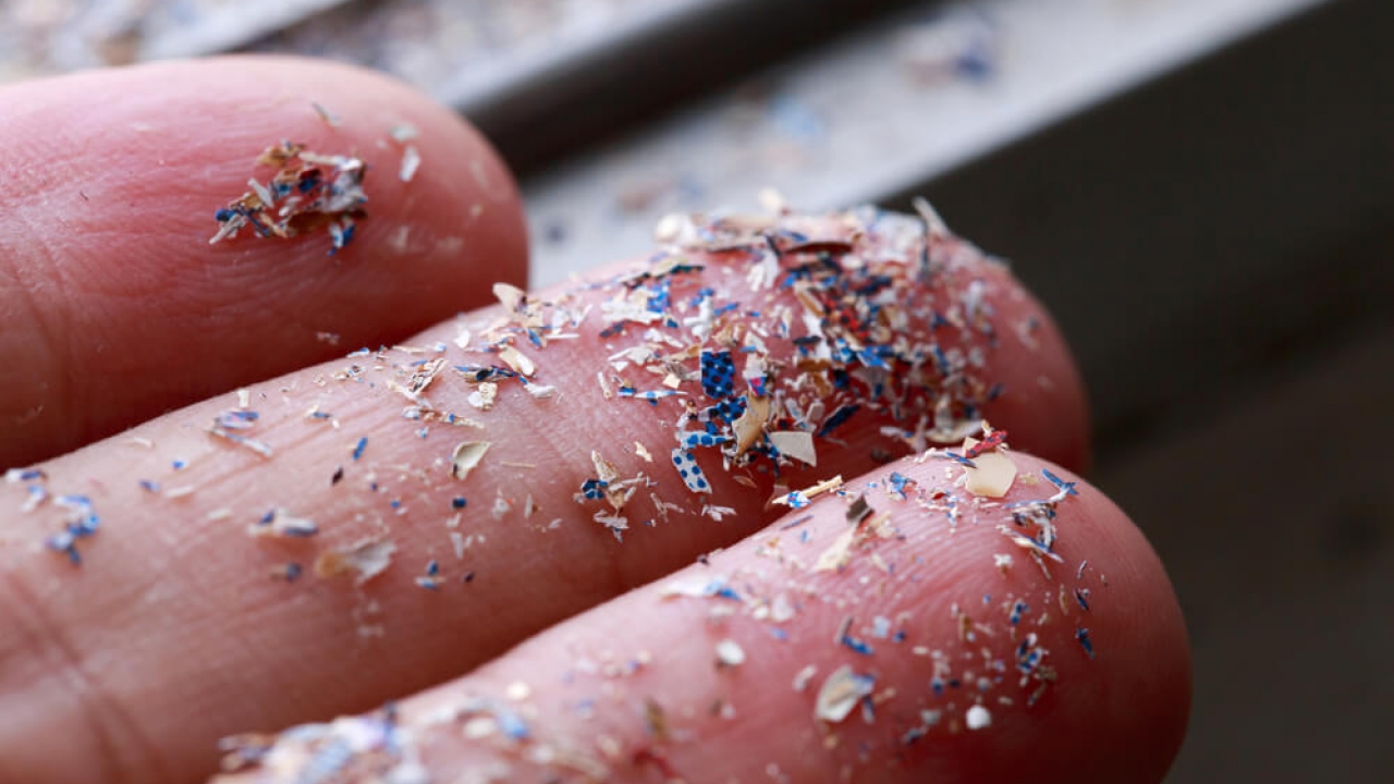 Close up side shot of microplastics on a hand.