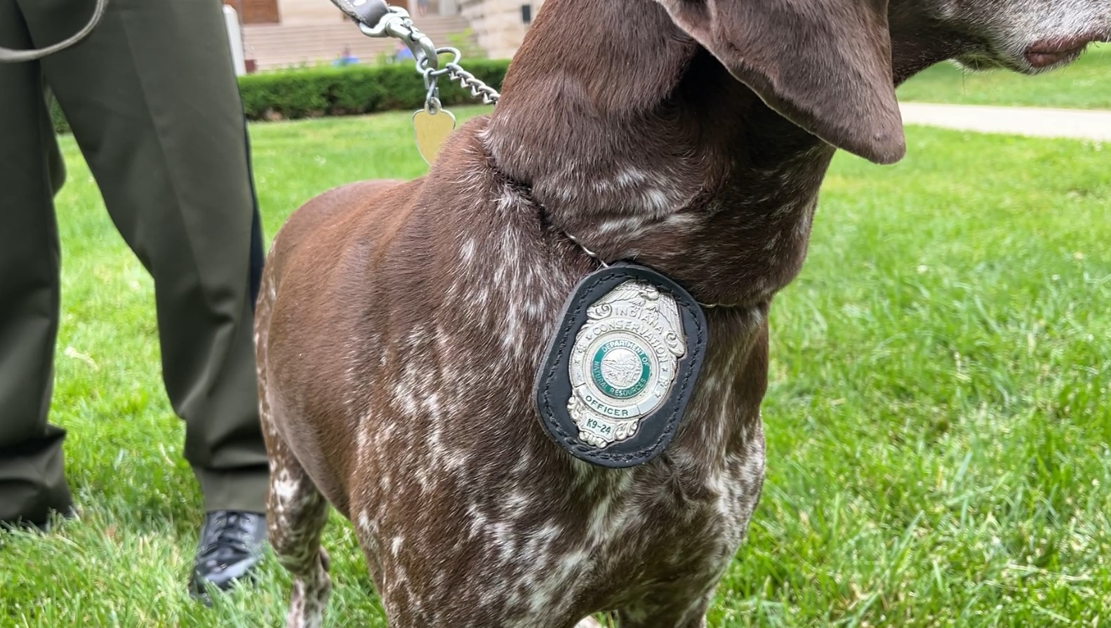 k9grad5.jpg