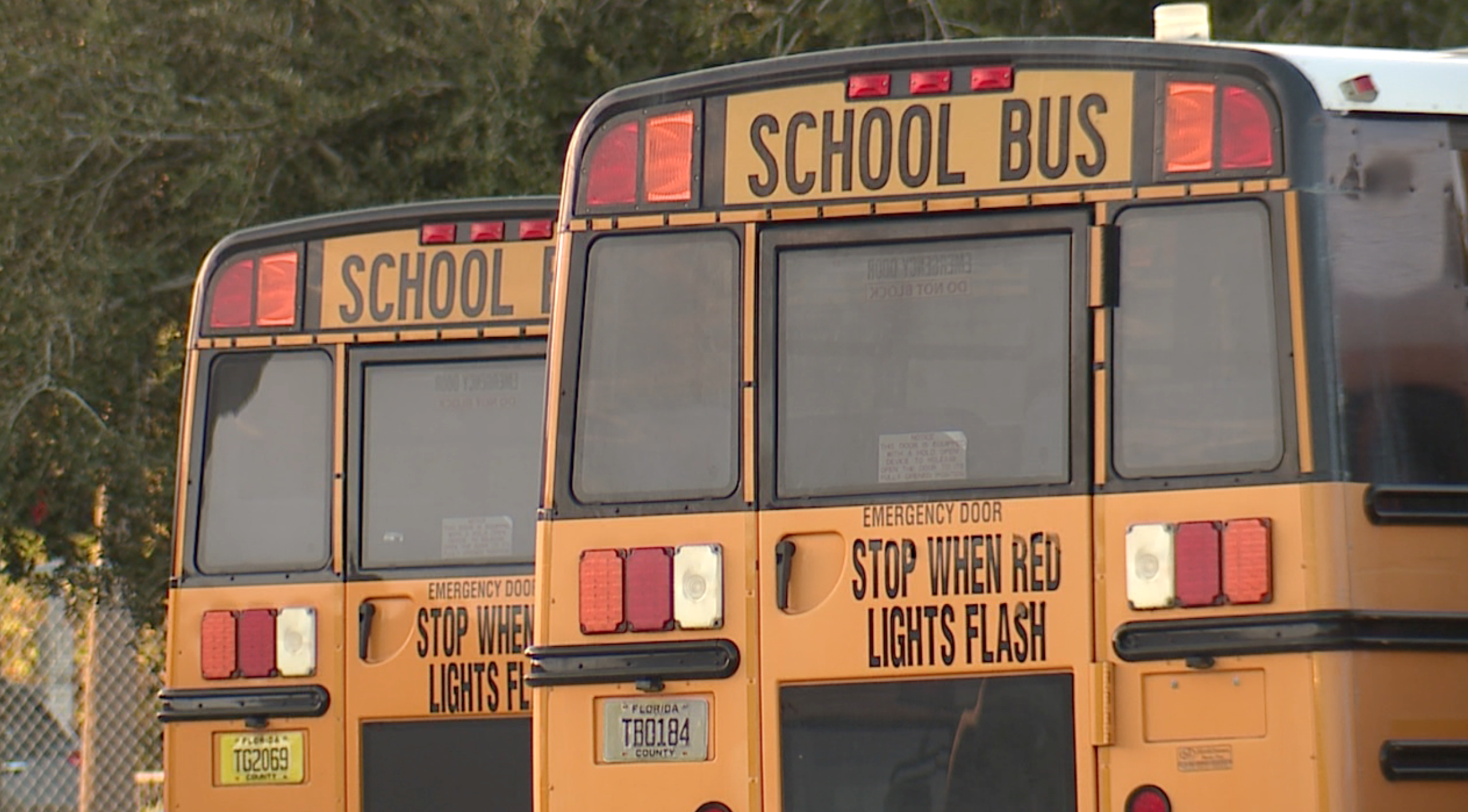 Two school buses sit parked next to each other.