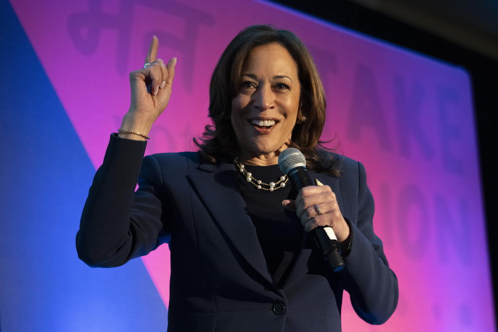 Vice President Kamala Harris speaks at a summit.