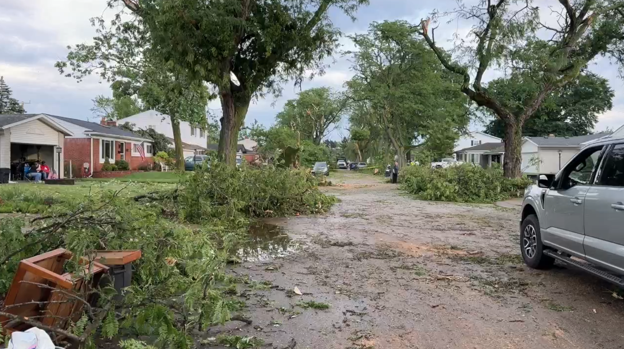 TORNADO DAMAGE LIVONIA