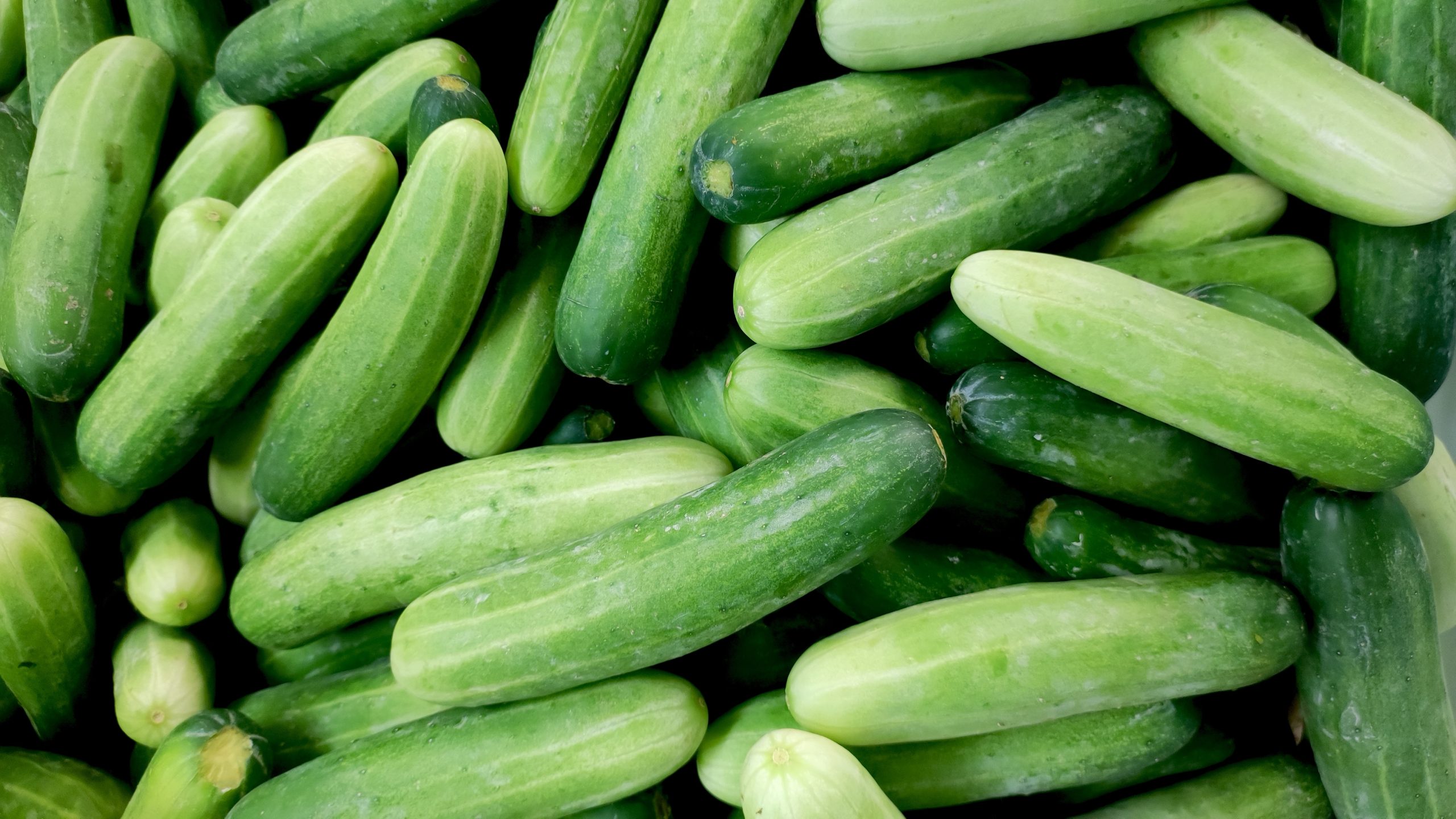 Cucumbers are shown.