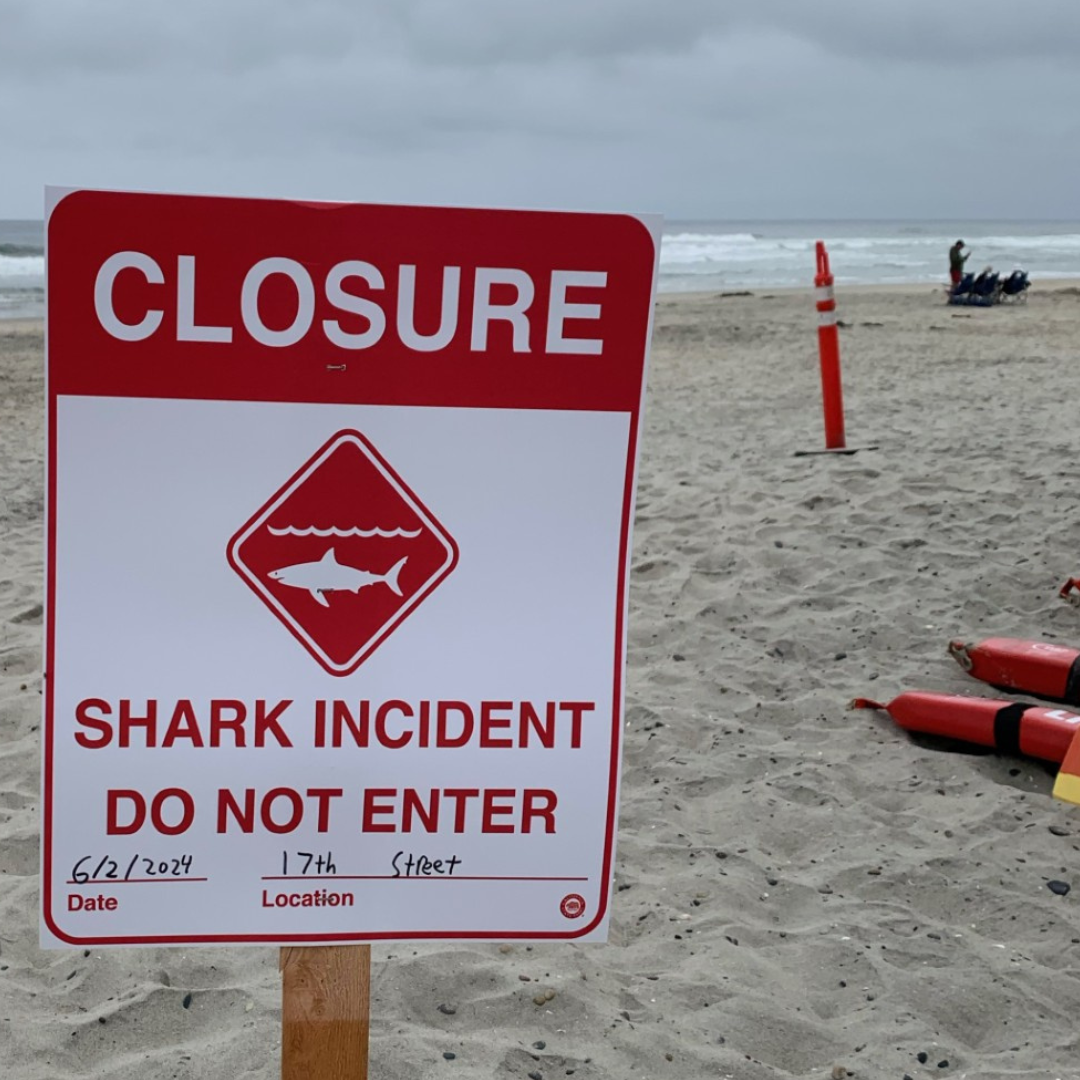 A sign at Del Mar Beach reading "Shark Incident Do Not Enter."