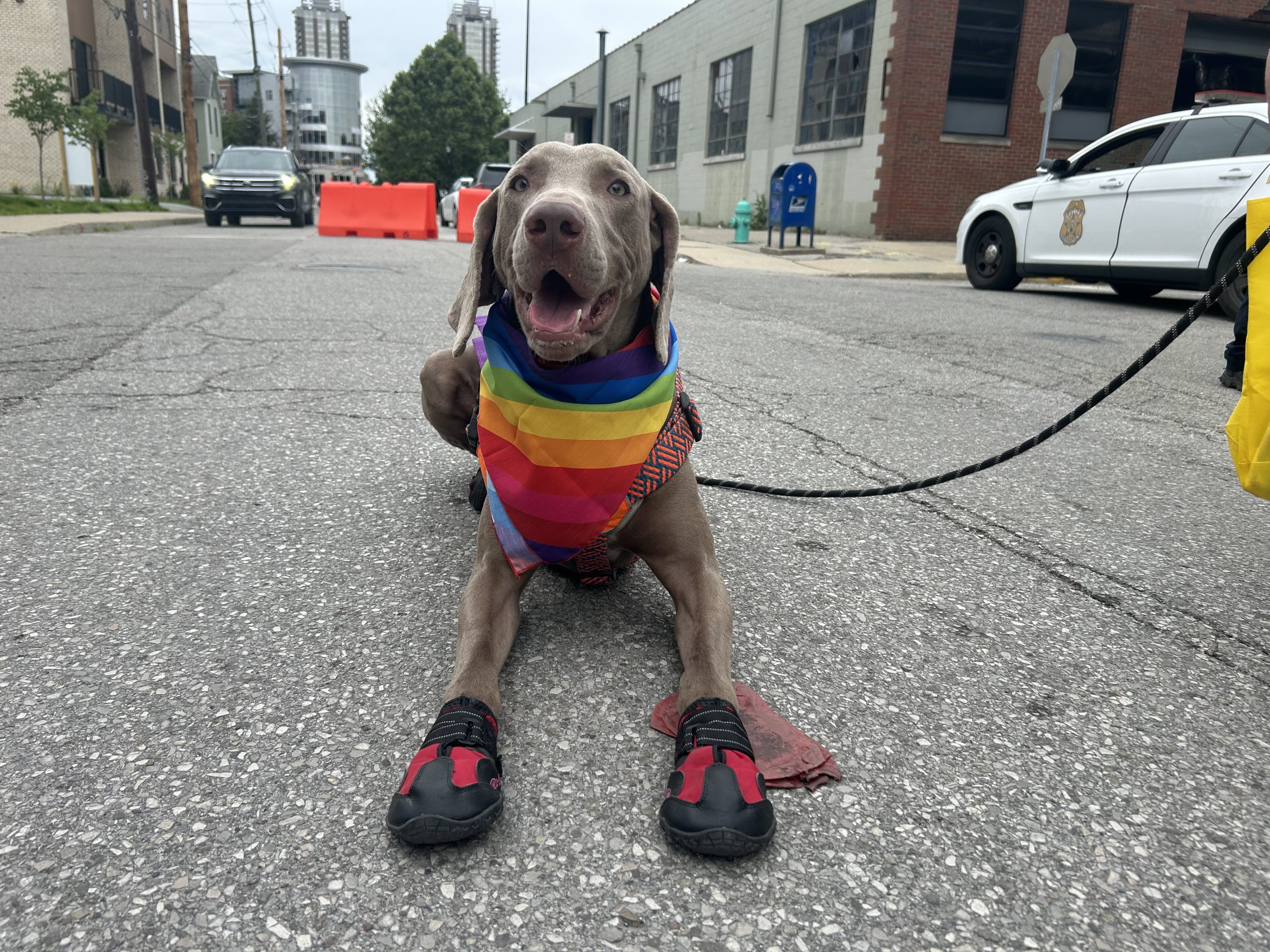 pride6.jpg