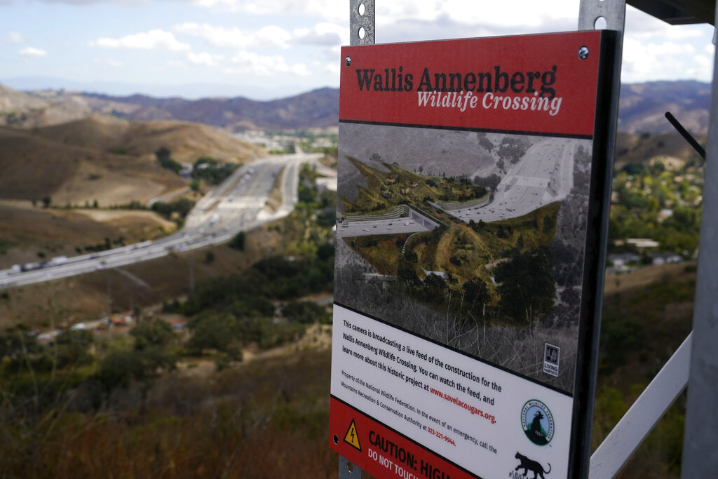 An overview of the Wallis Annenberg Wildlife Crossing