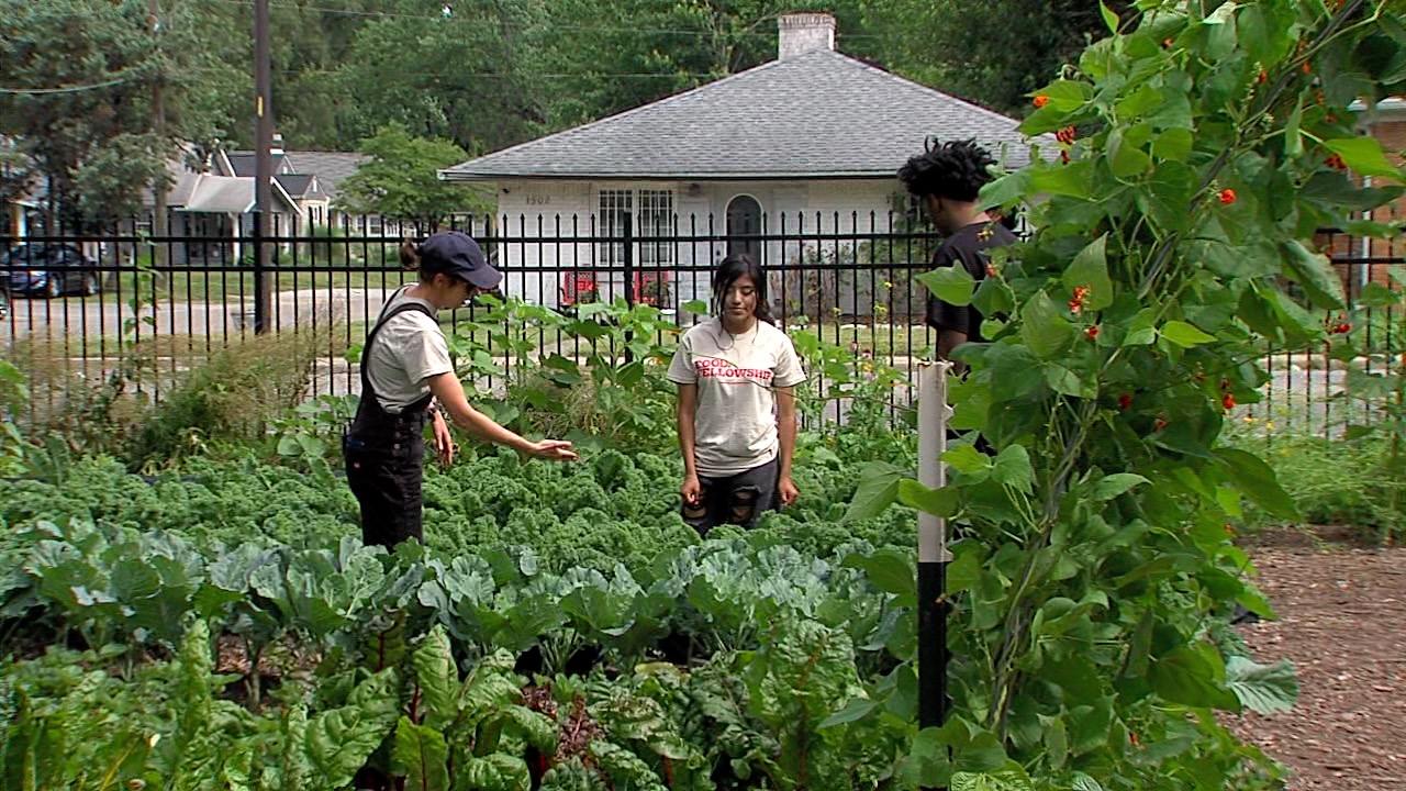 web 2_garden.jpg