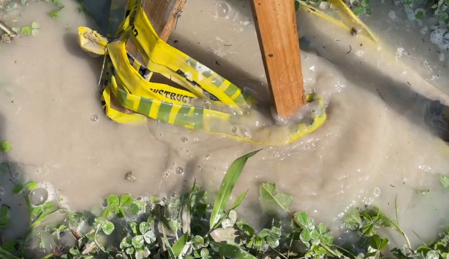 standing water.jpg