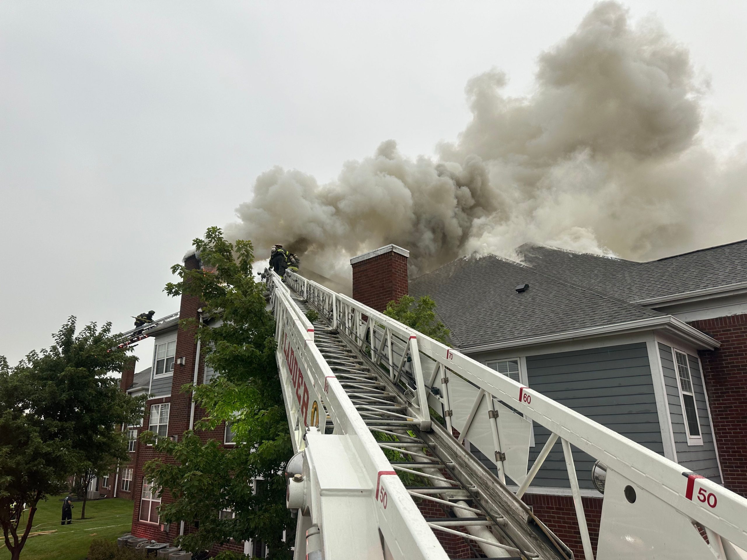 bayview fire.jpeg