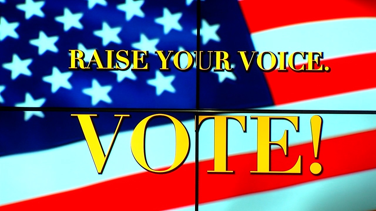 voting8.jpg