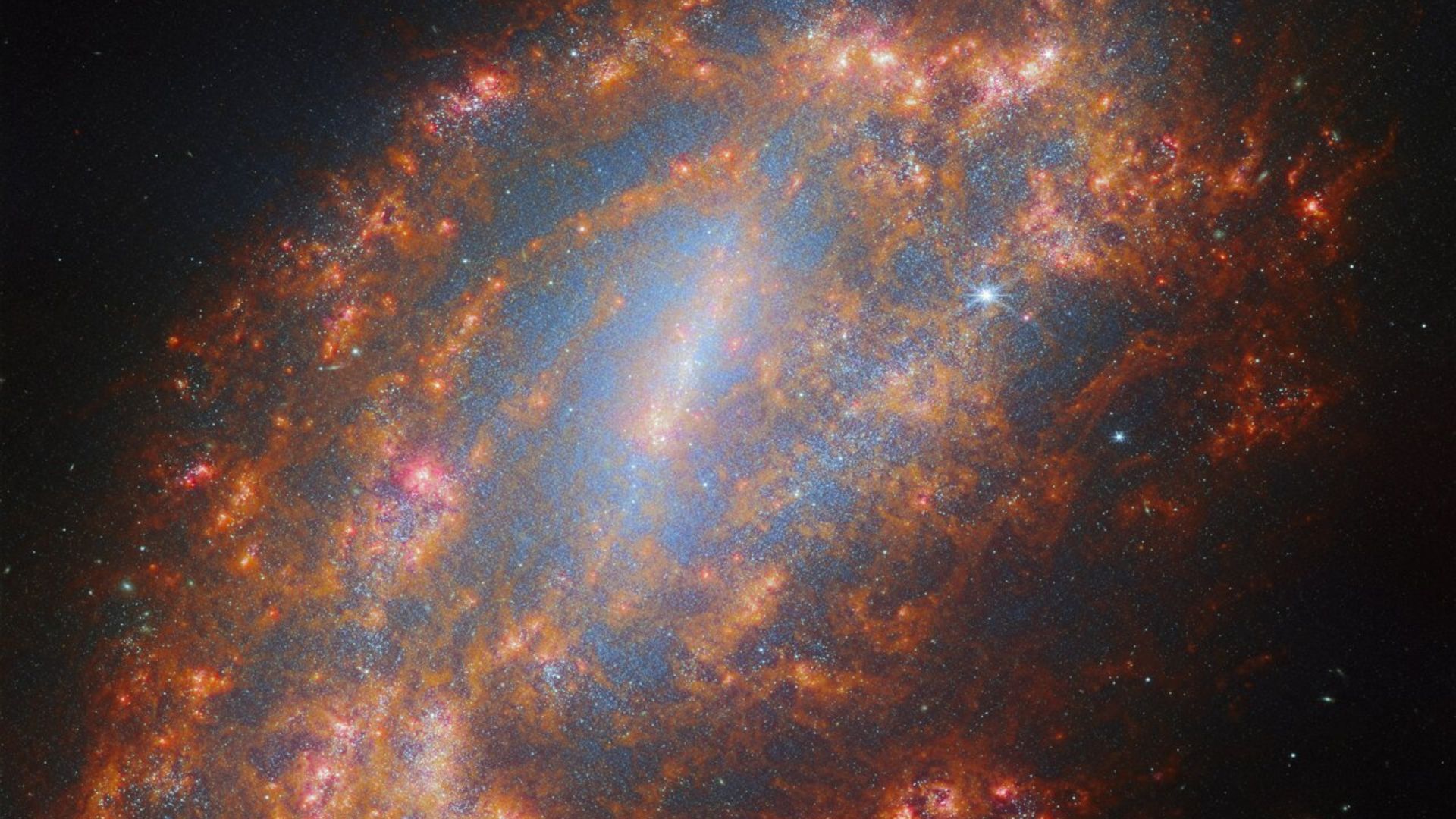 The barred spiral galaxy galaxy NGC 1559 as seen by the NASA/ESA/CSA James Webb Space Telescope.