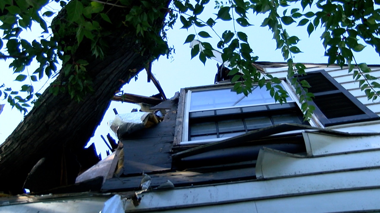 tree on roof 2.jpg