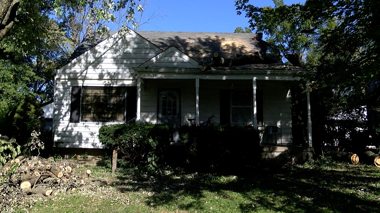 tree on roof 4.jpg