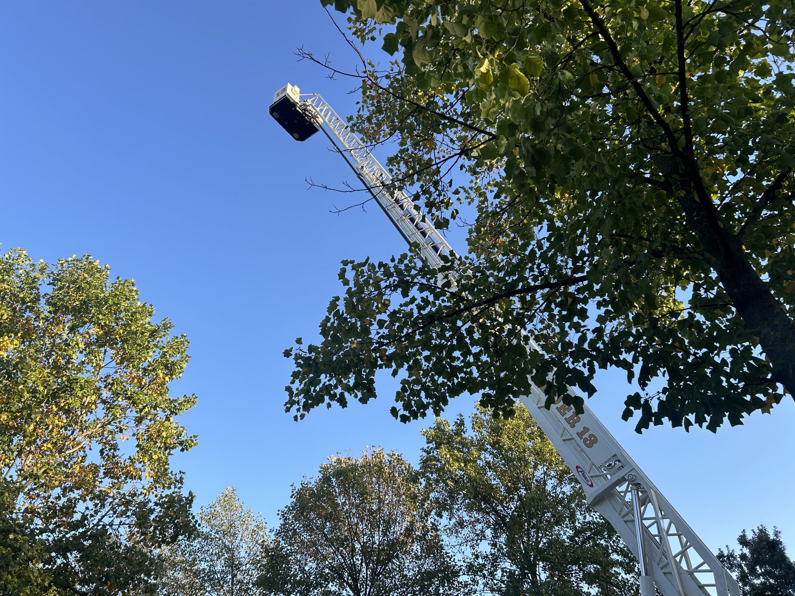 ifd ladder.jpg