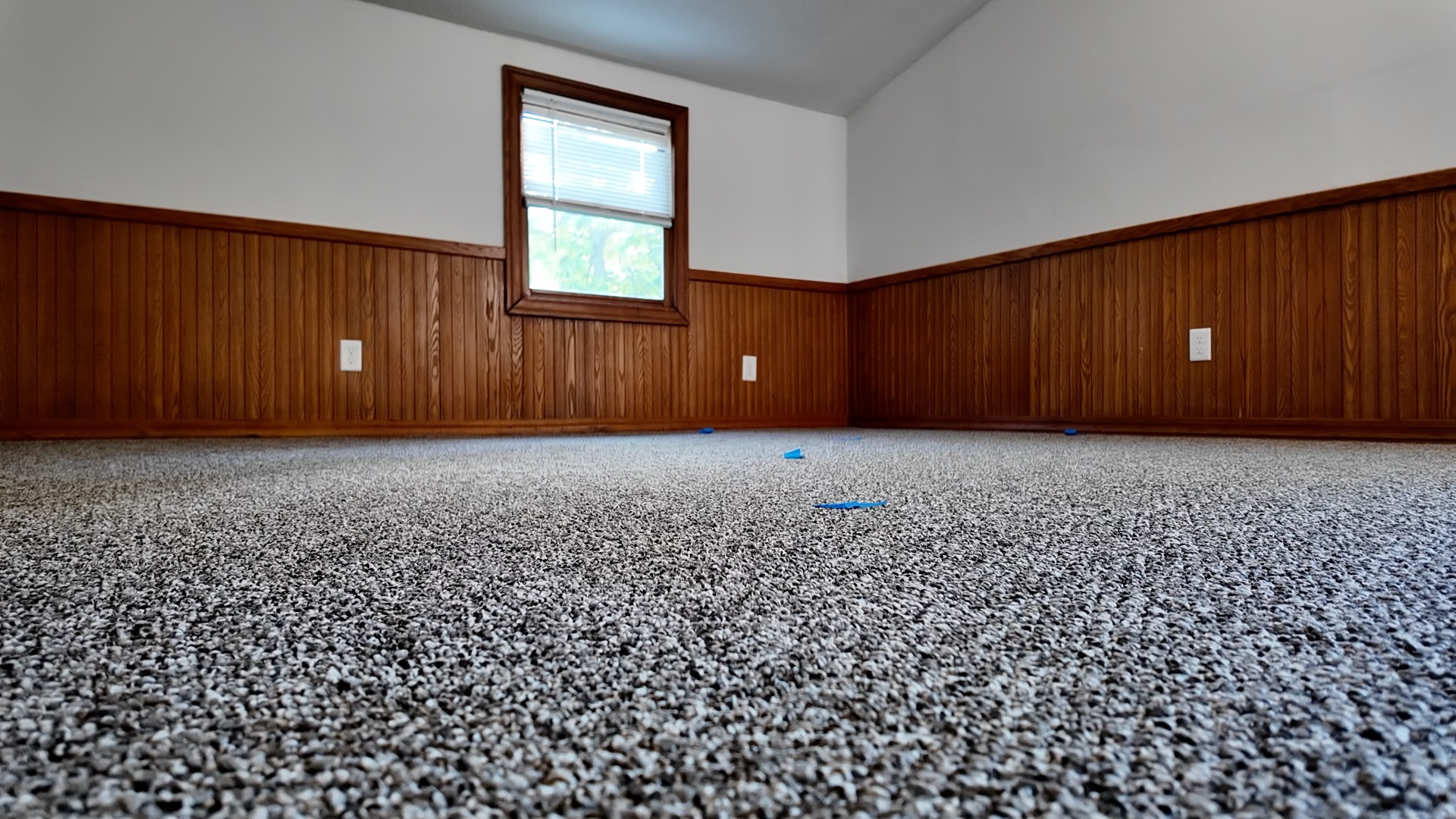 foster transition home 3.jpg