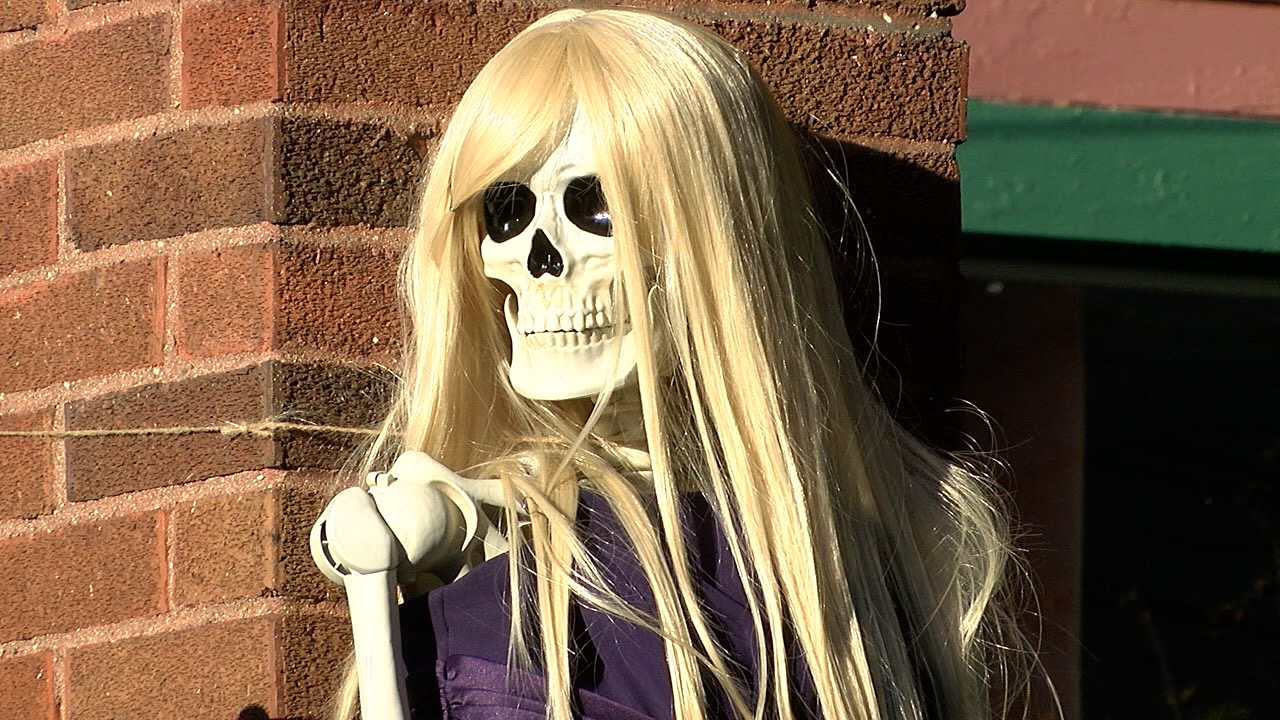 skeleton.jpg