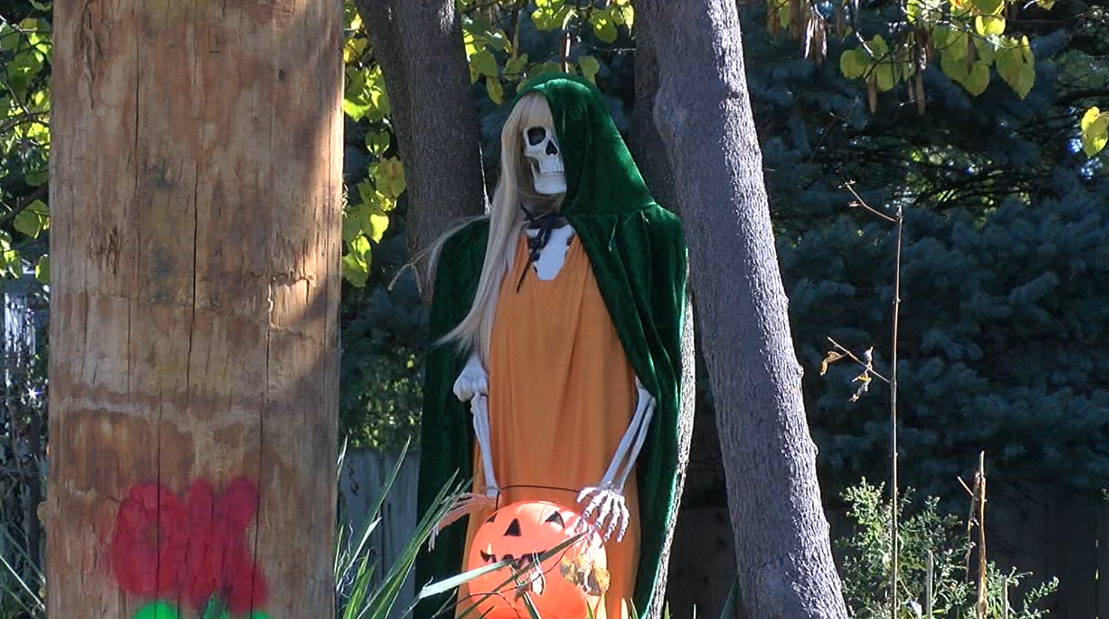 taylor skeleton2.jpg