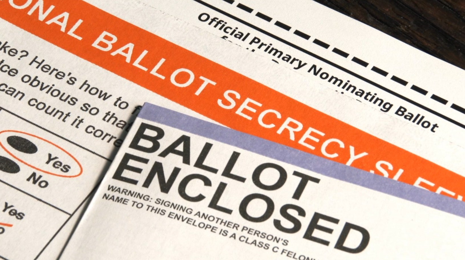 voting ballot.jpg