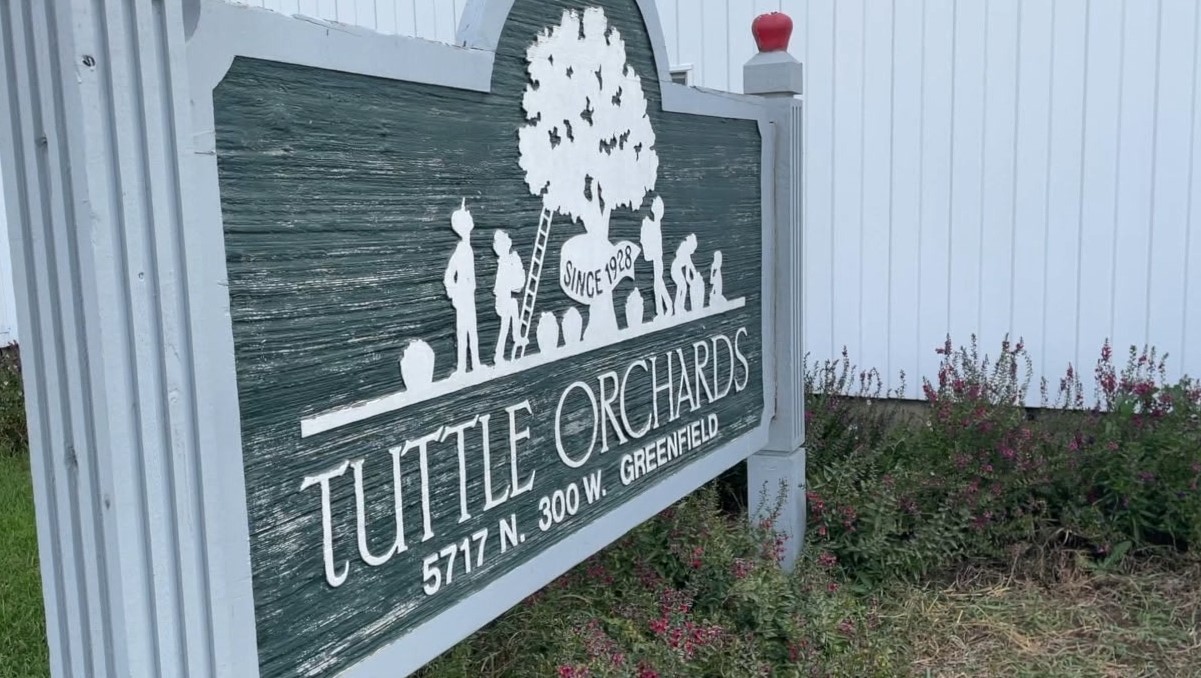 tuttle orcahrds.jpg