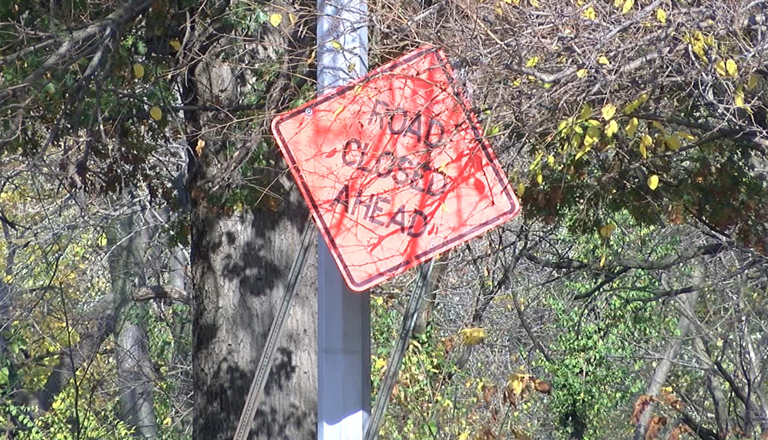fall creek pkwy2.jpg