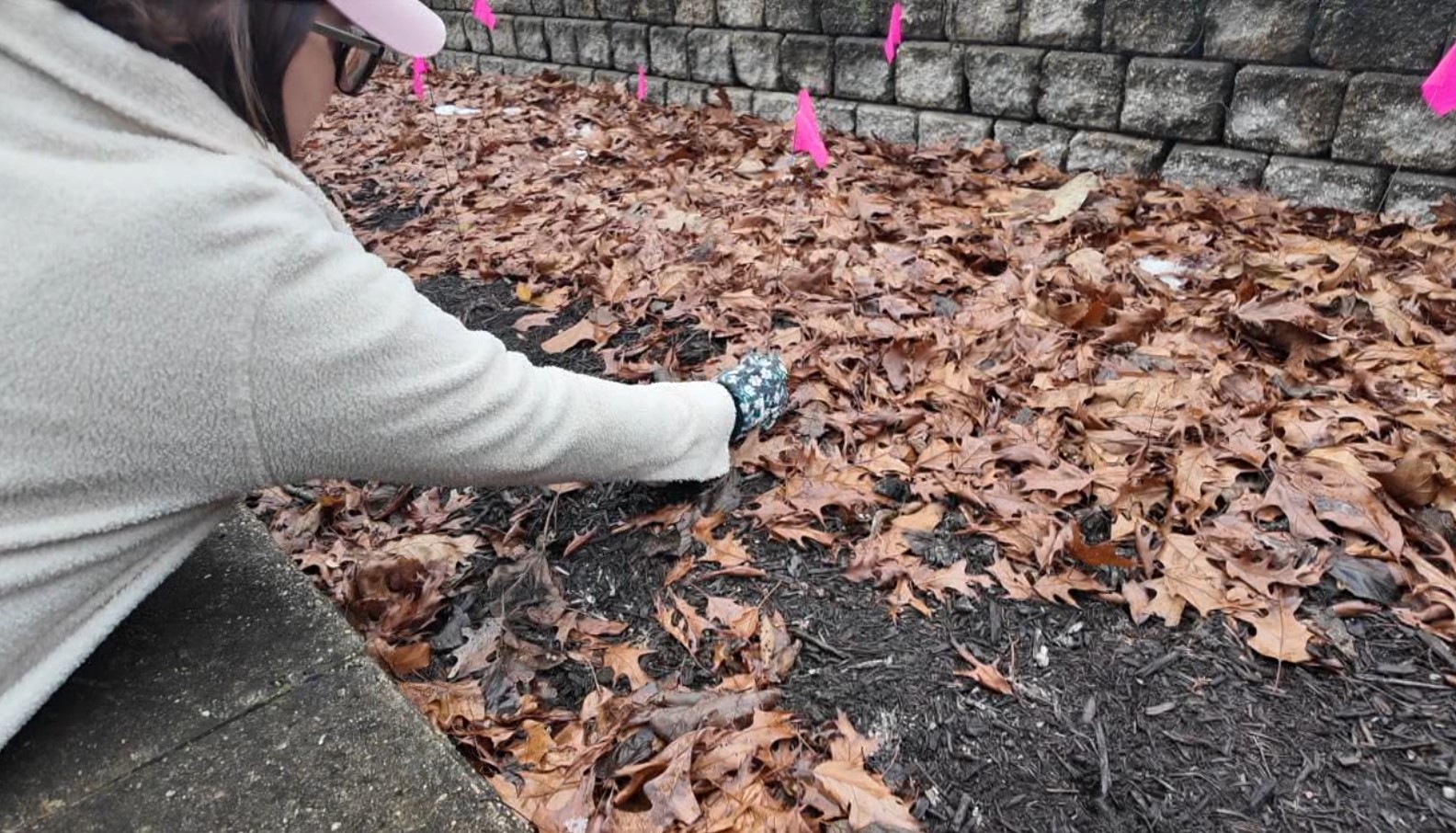 peony planting3.jpg