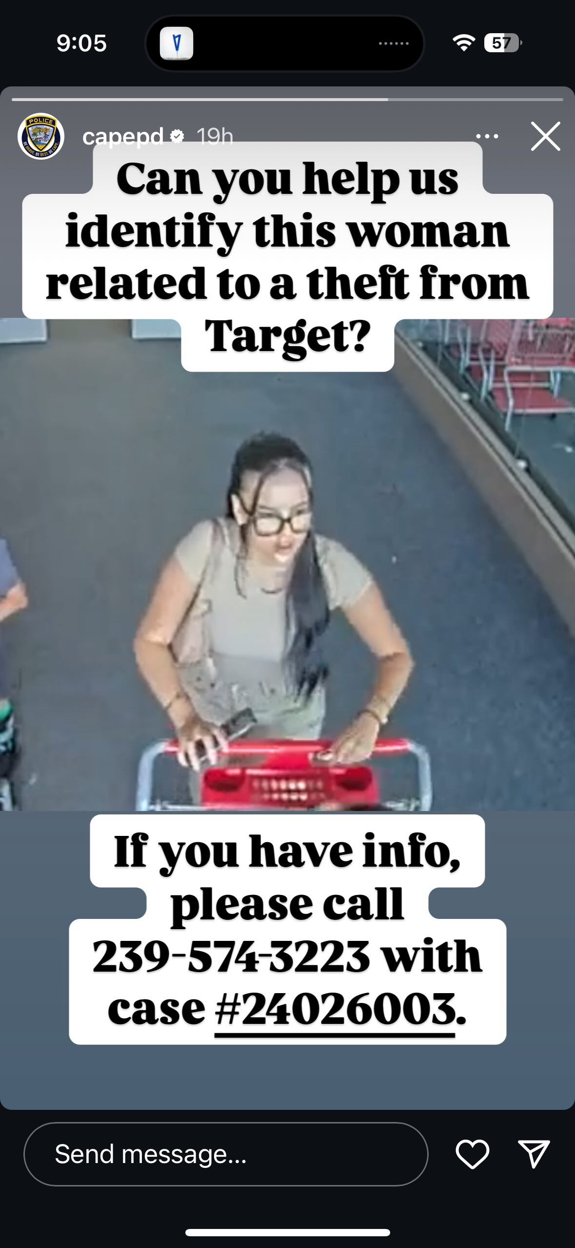 CAPE police.png