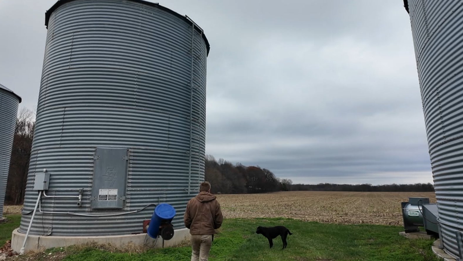 harvest4.jpg