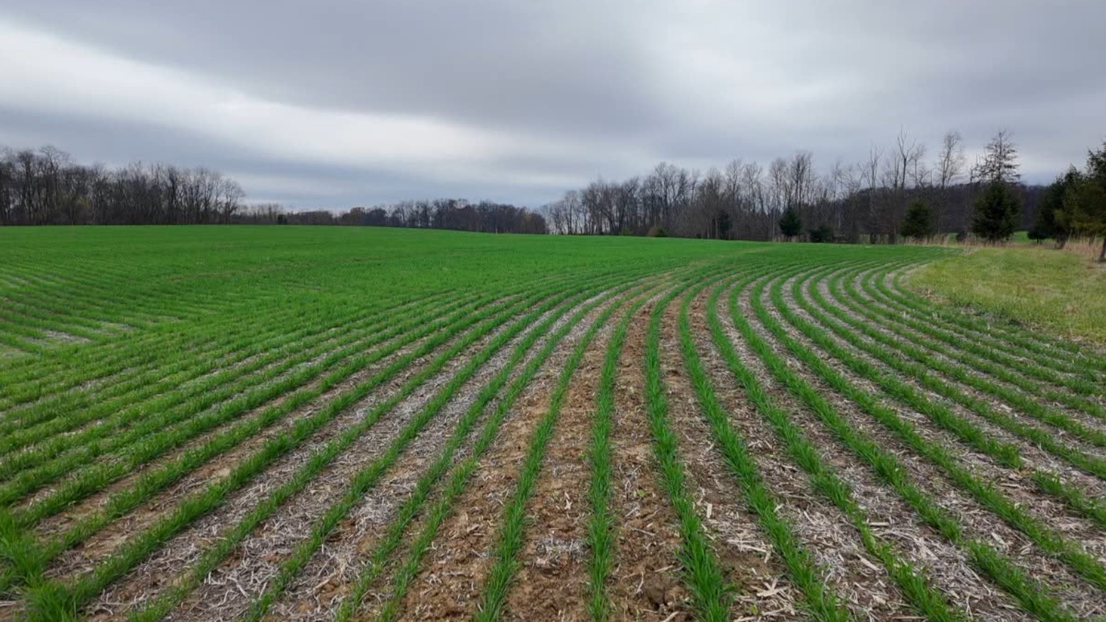 harvest6.jpg