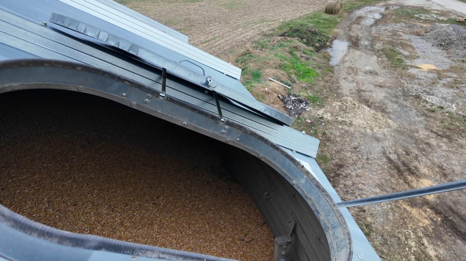 harvest8.jpg